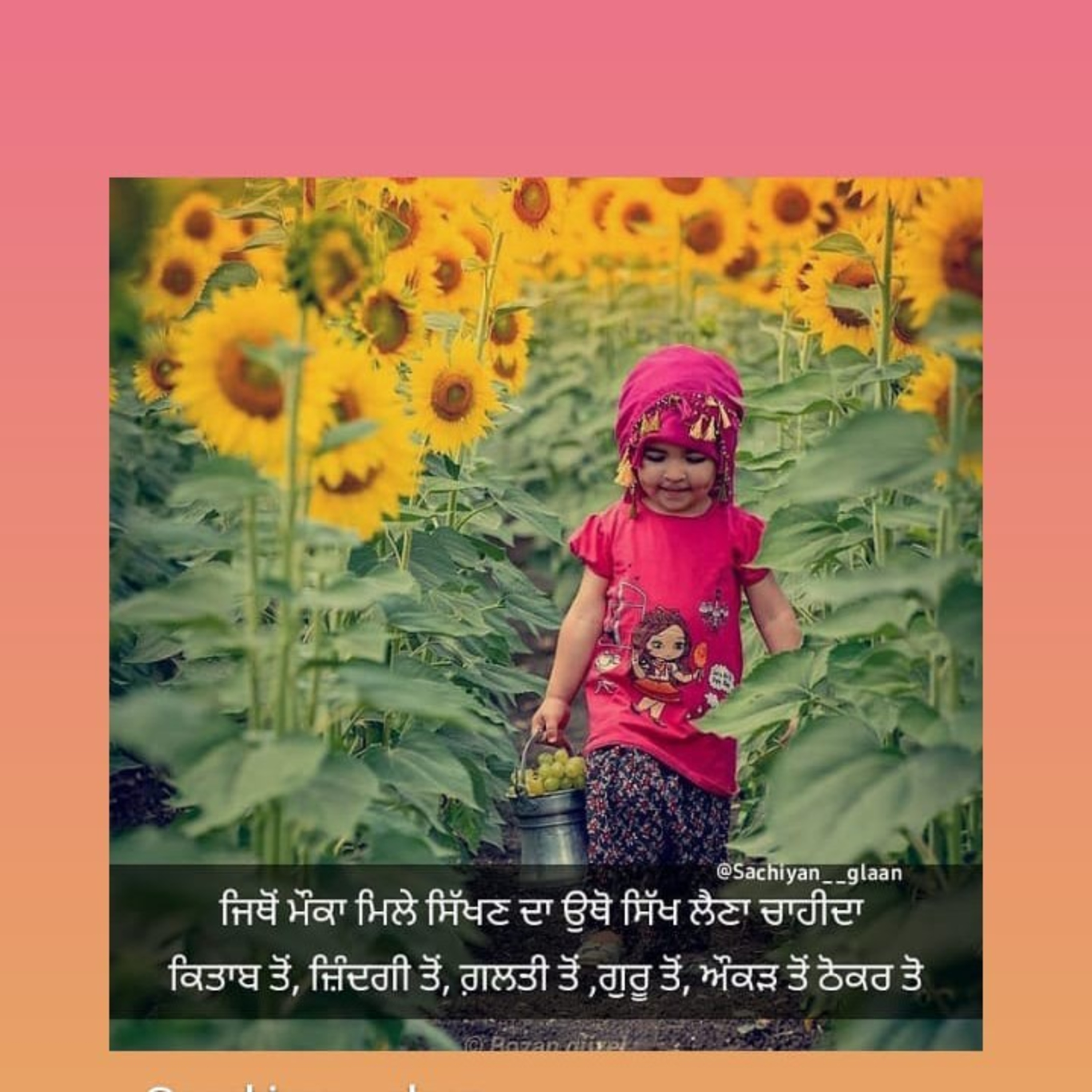 Navjottunes                                   (Punjabi Muttiyaar)