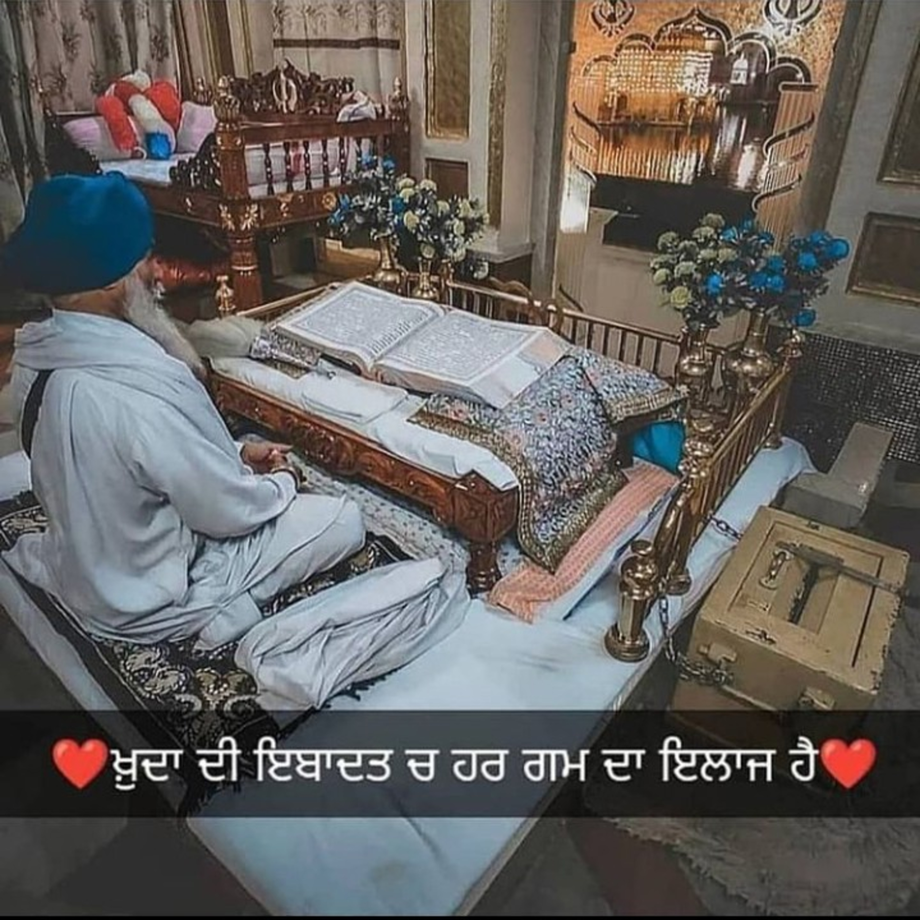 Navjottunes                                   (Punjabi Muttiyaar)