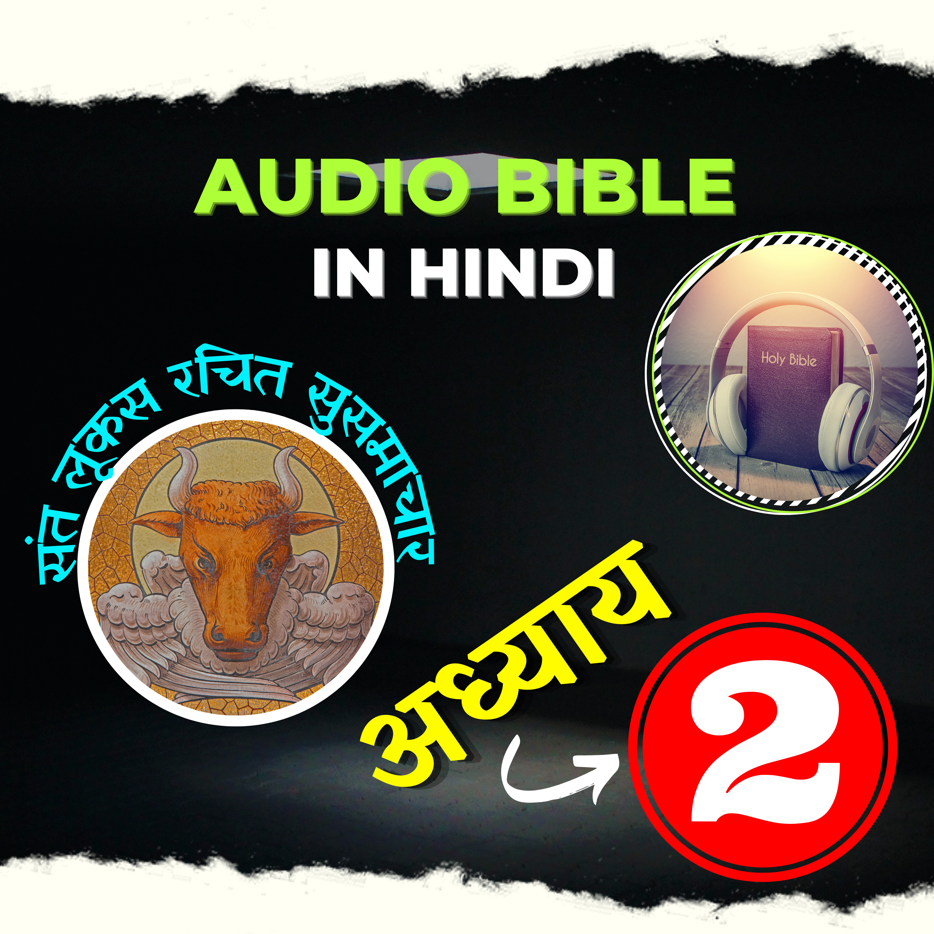 Hindi Audio Bible Luke with Text | अध्याय 02 | सन्त लूकस रचित सुसमाचार | Gospel of Luke Chapter 02 episode artwork