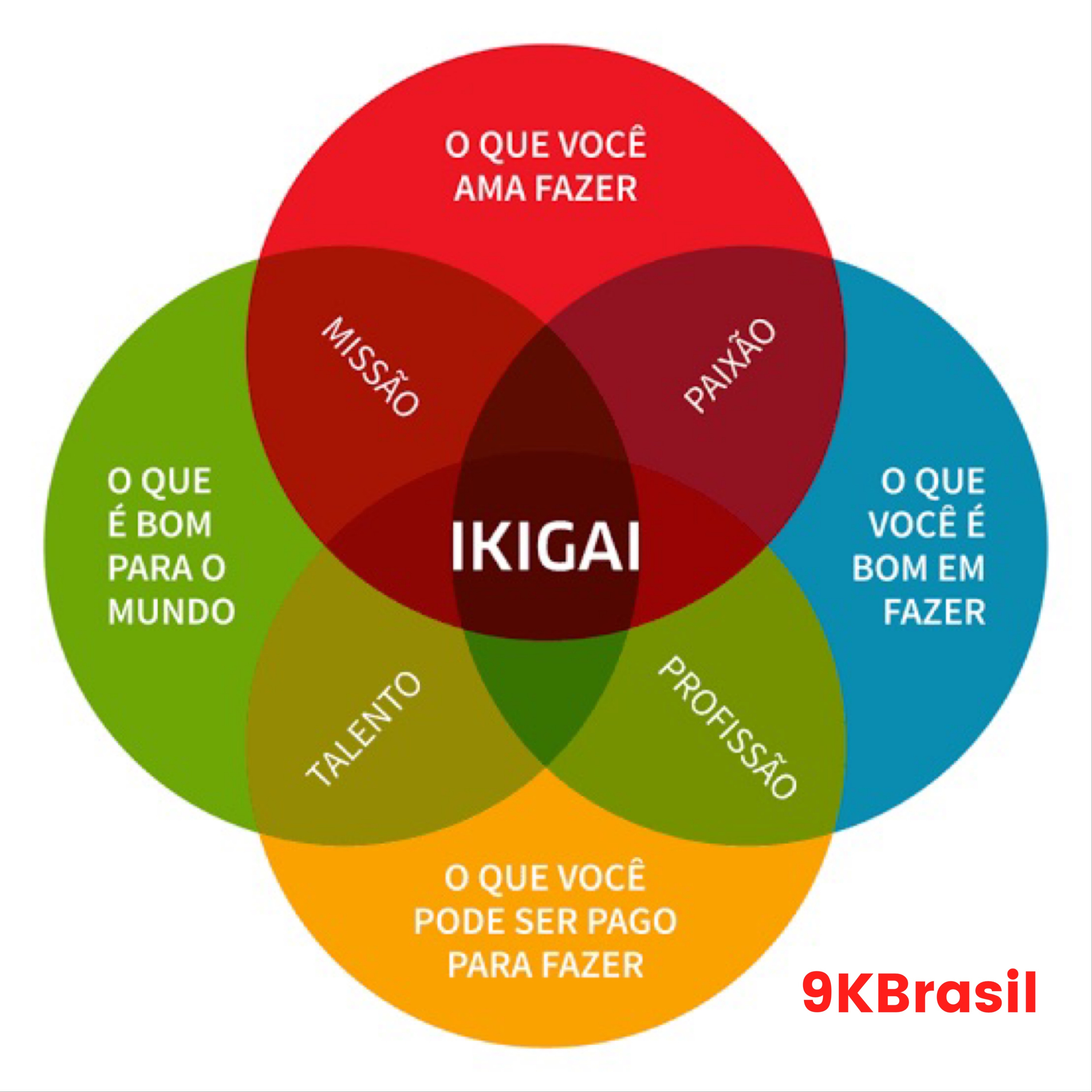 9kbrasil