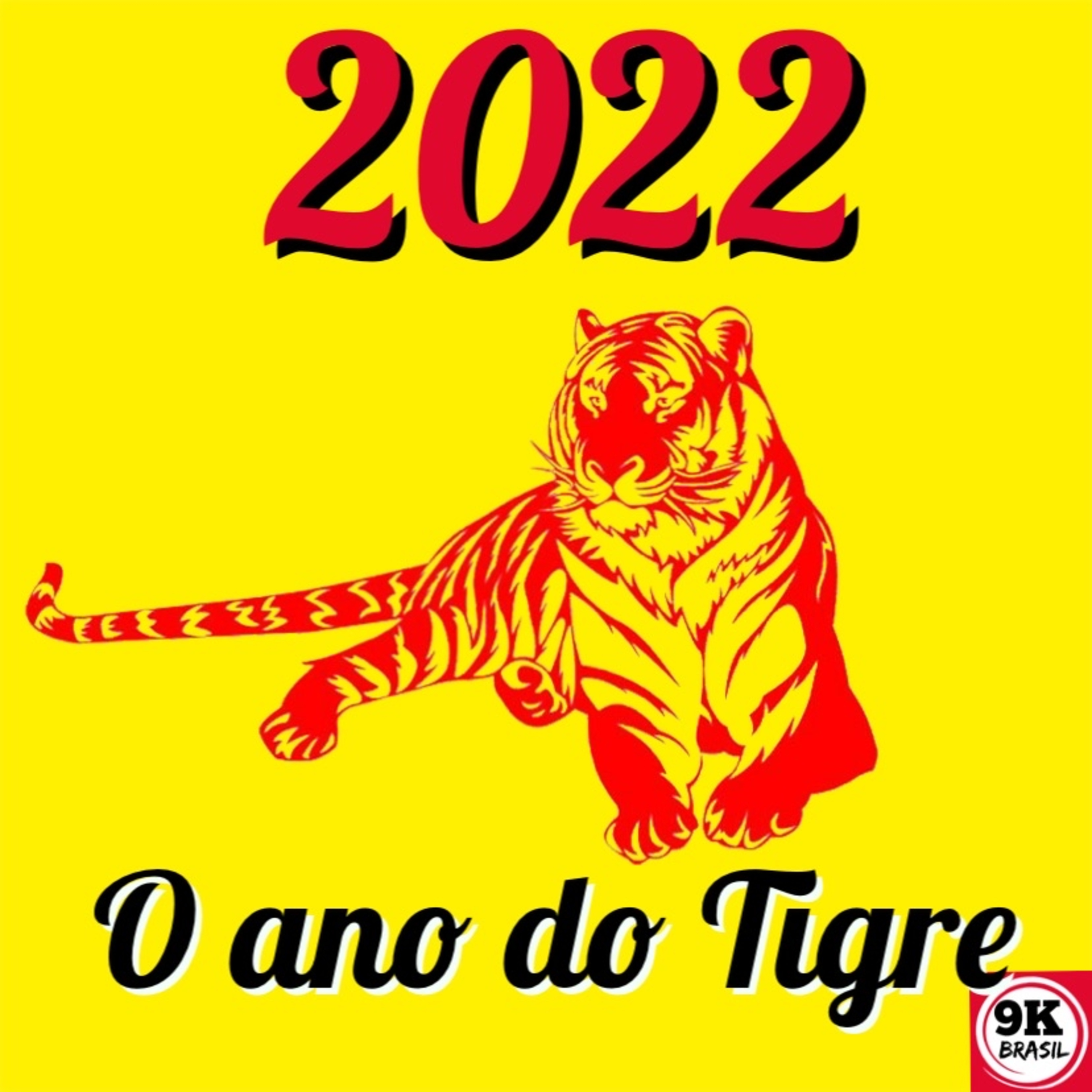 9kbrasil