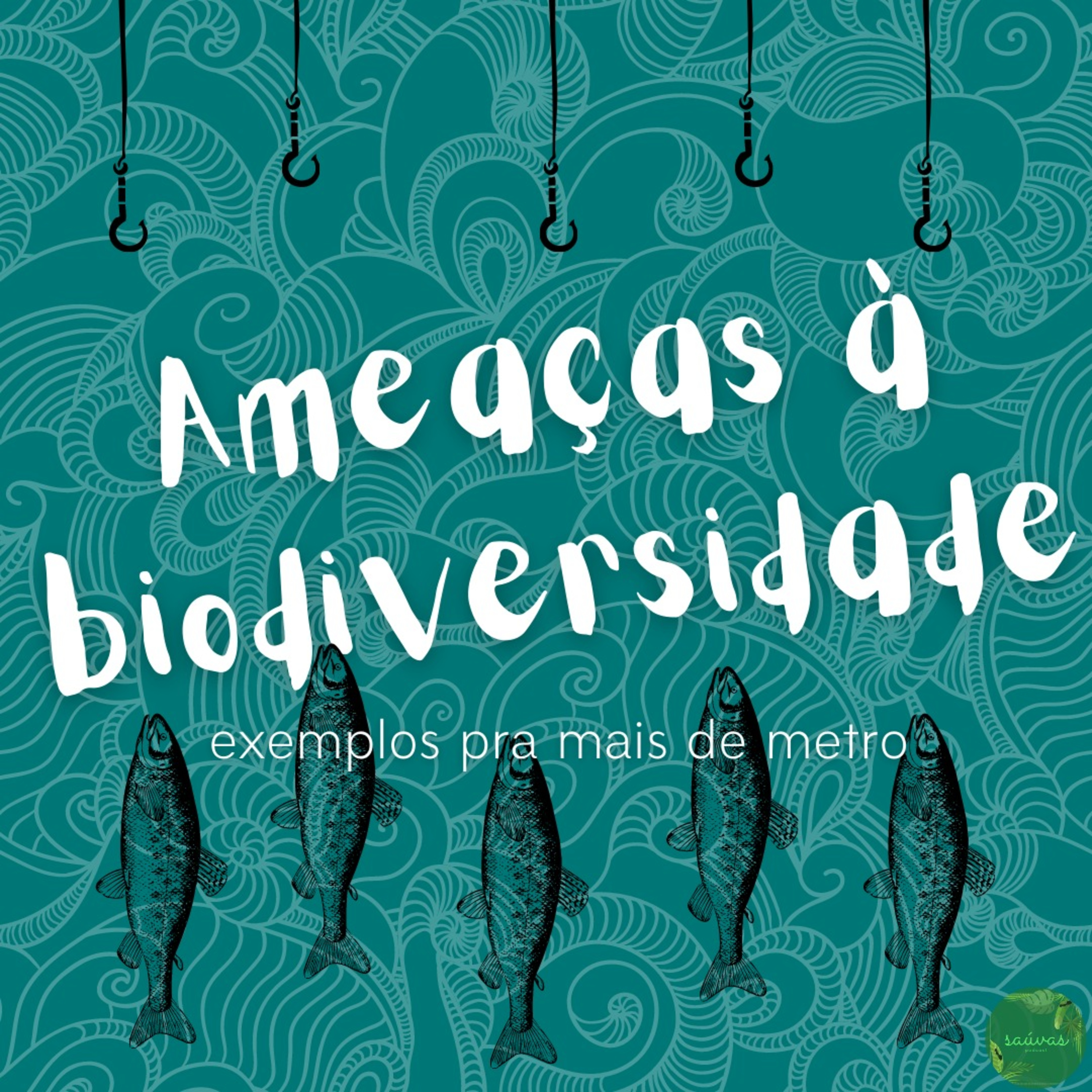 Saúvas Podcast