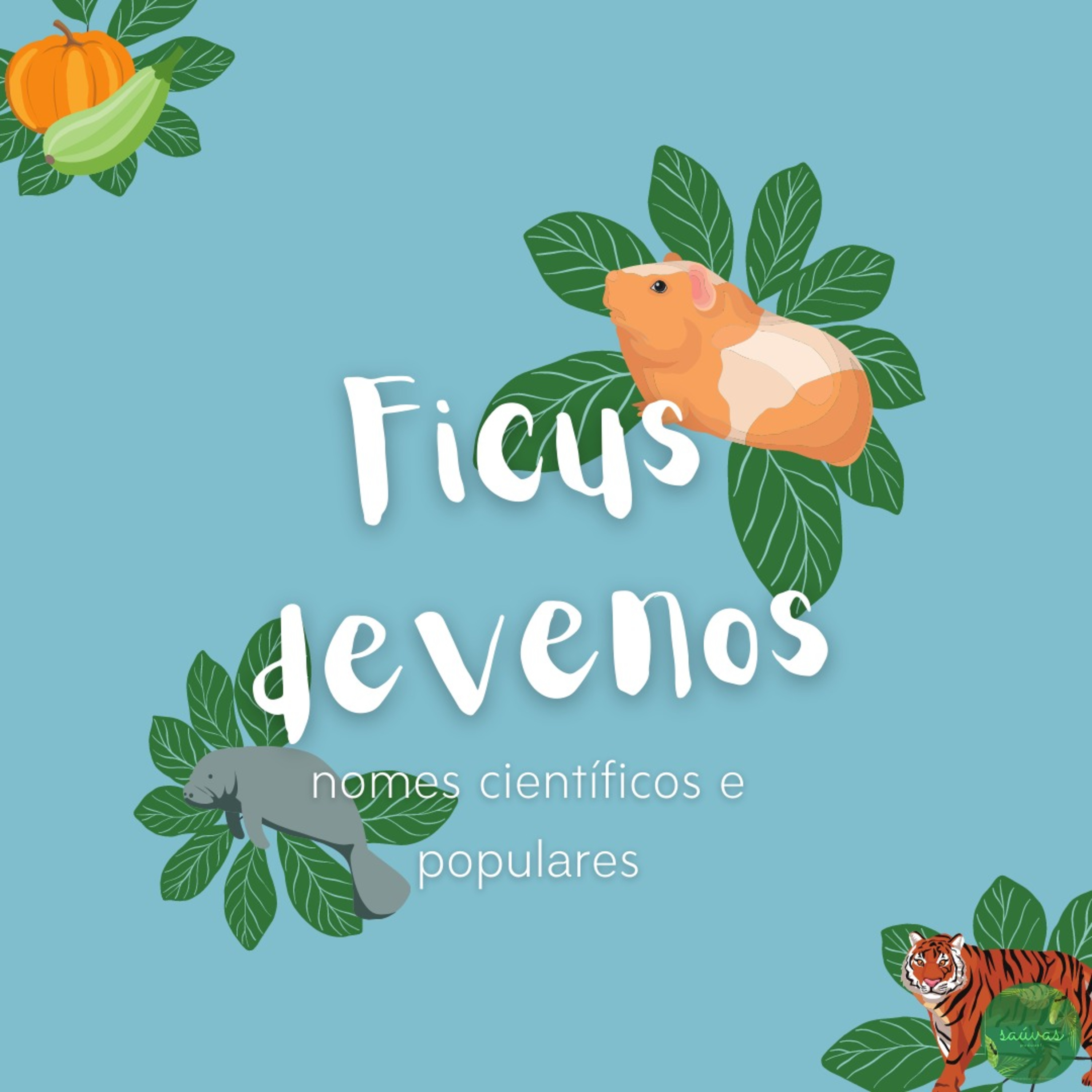 Saúvas Podcast