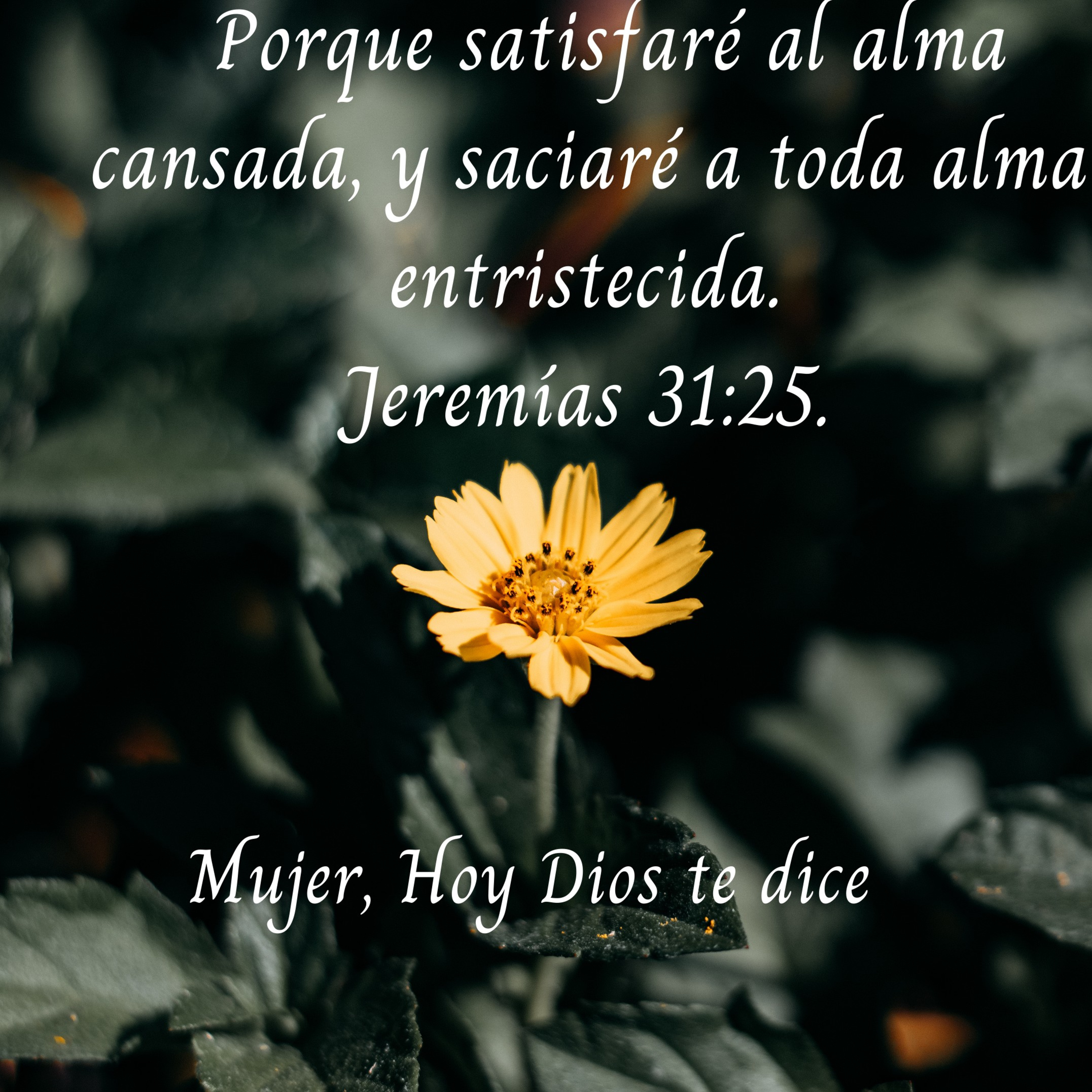 Palabras de Bendición. 🌼Mujer Hoy Dios Te Dice