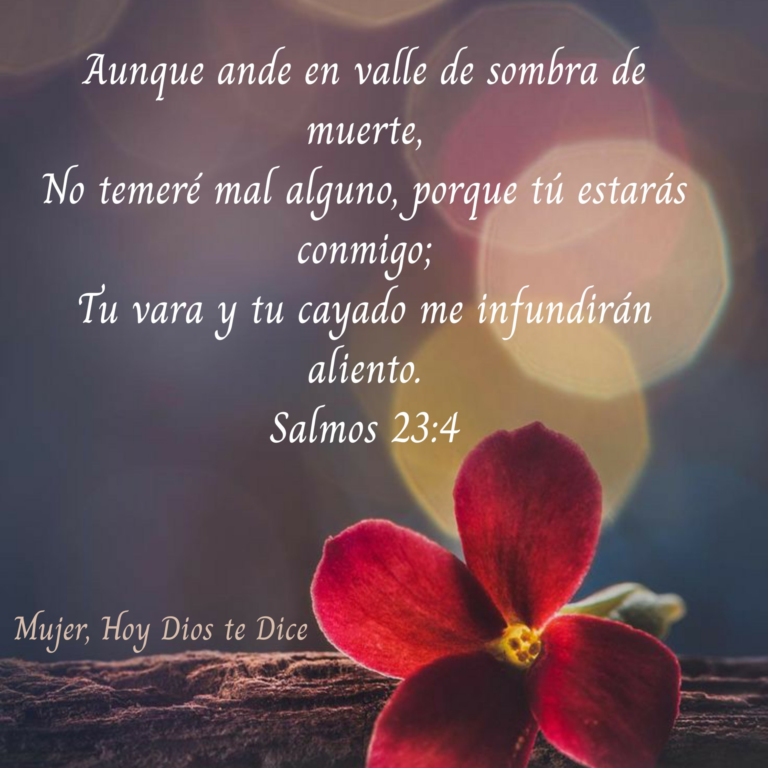 Palabras de Bendición. 🌼Mujer Hoy Dios Te Dice