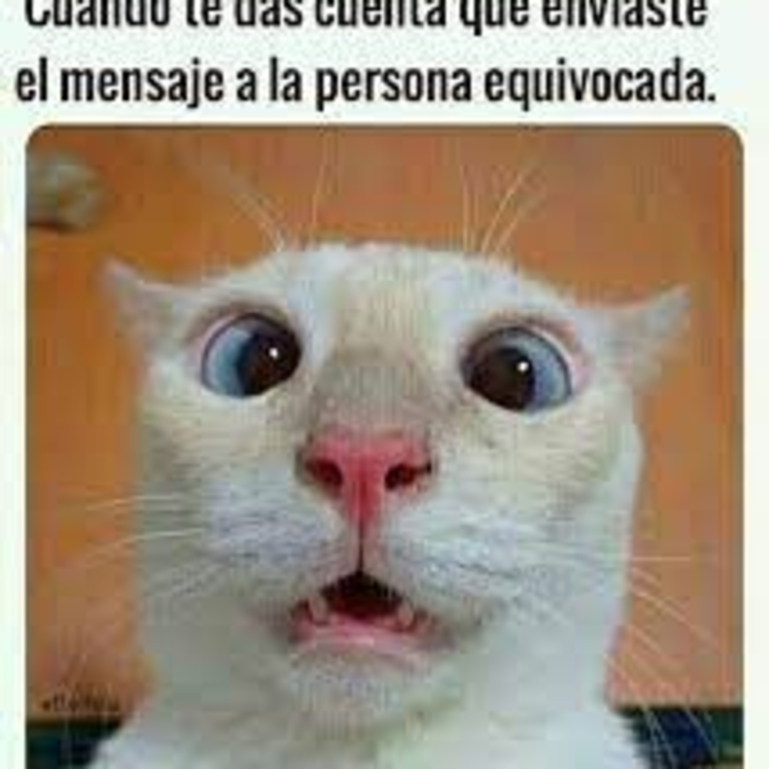Onda sagraria