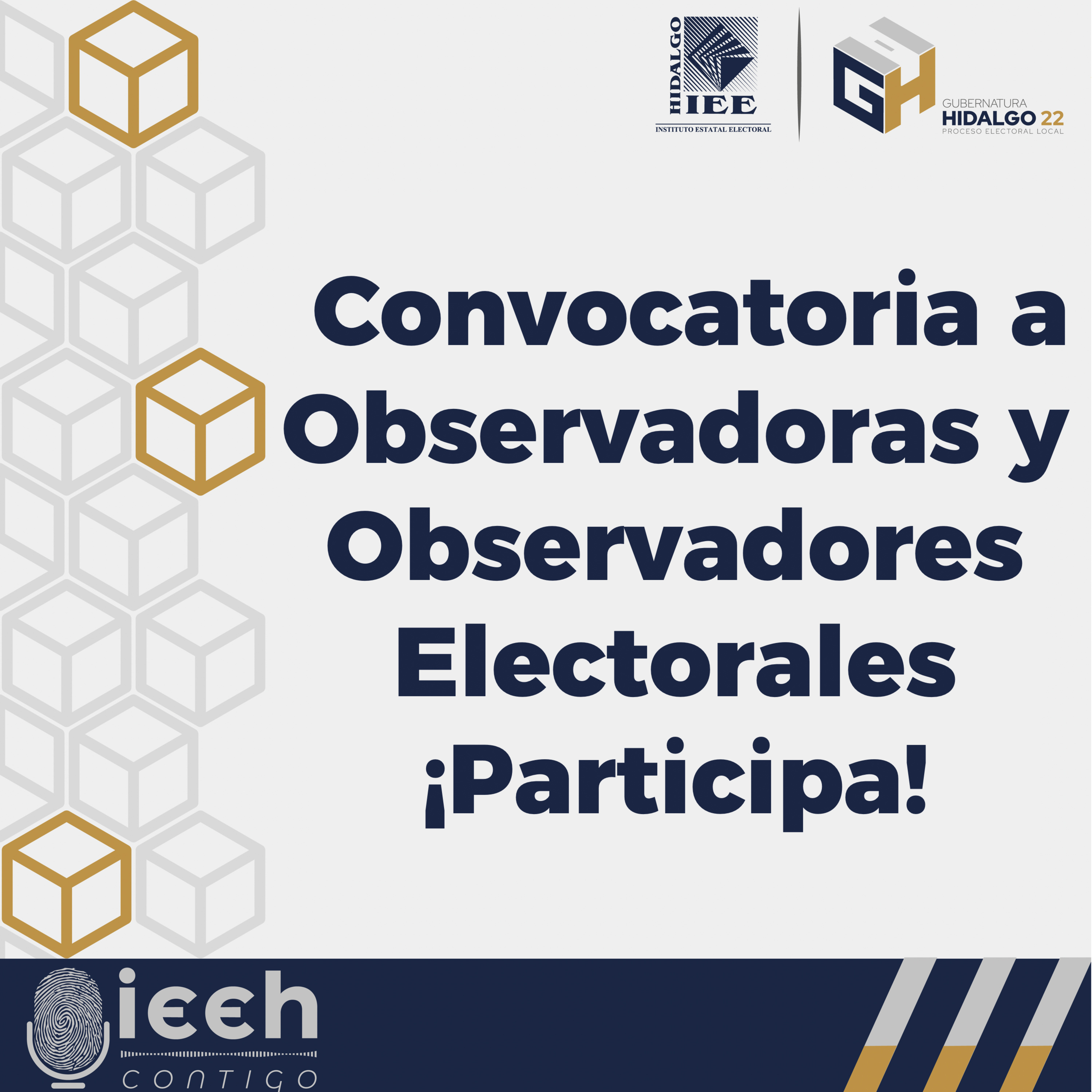 IEEH Contigo Episodio 66 episode artwork