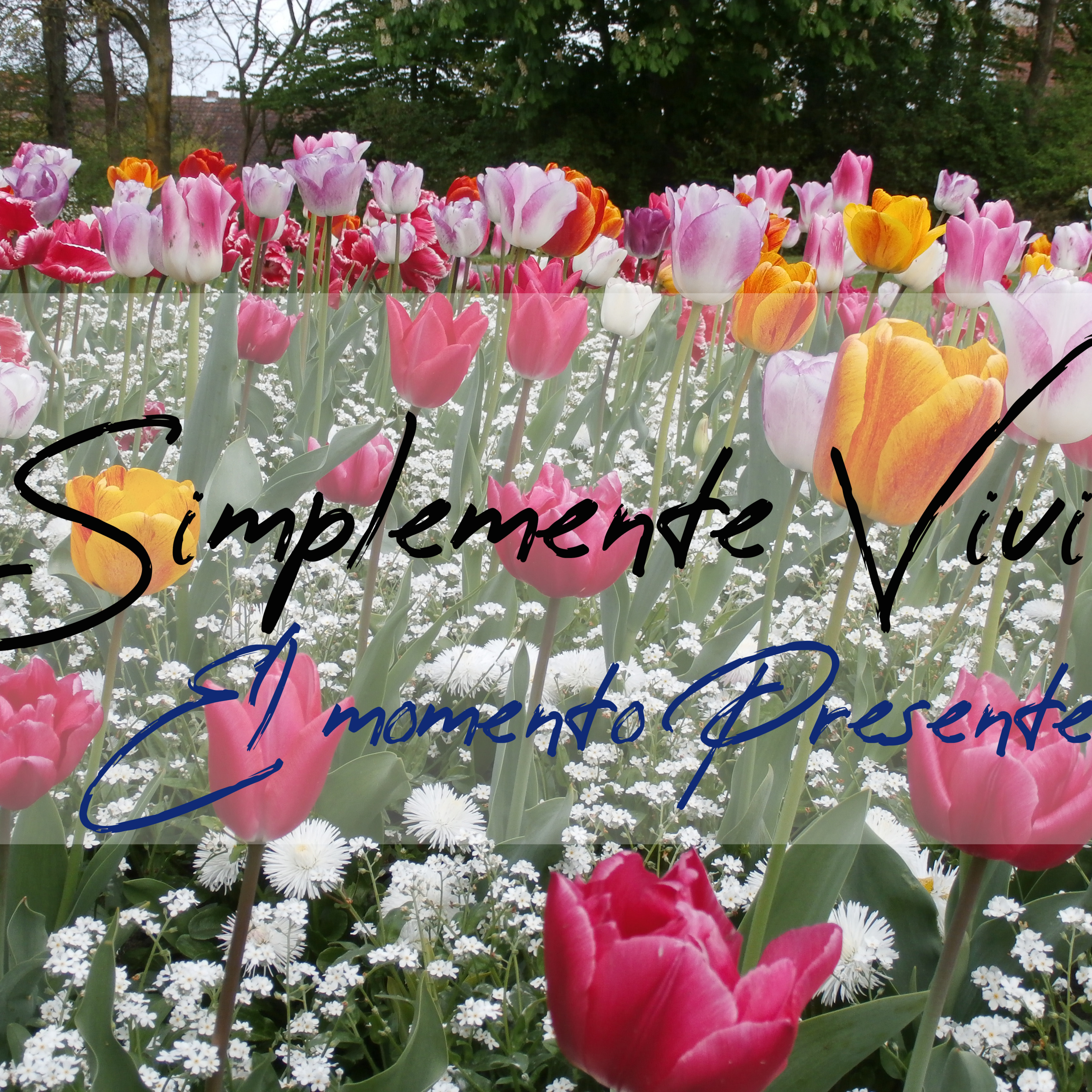 Simplemente Vivir