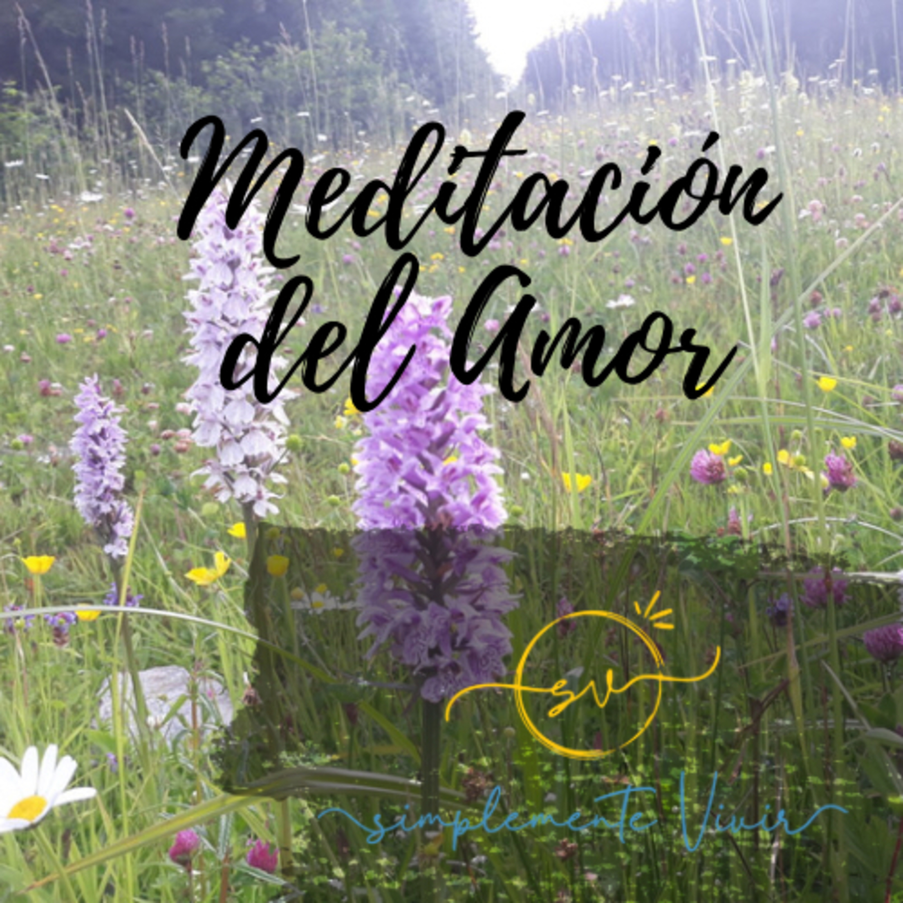 Simplemente Vivir