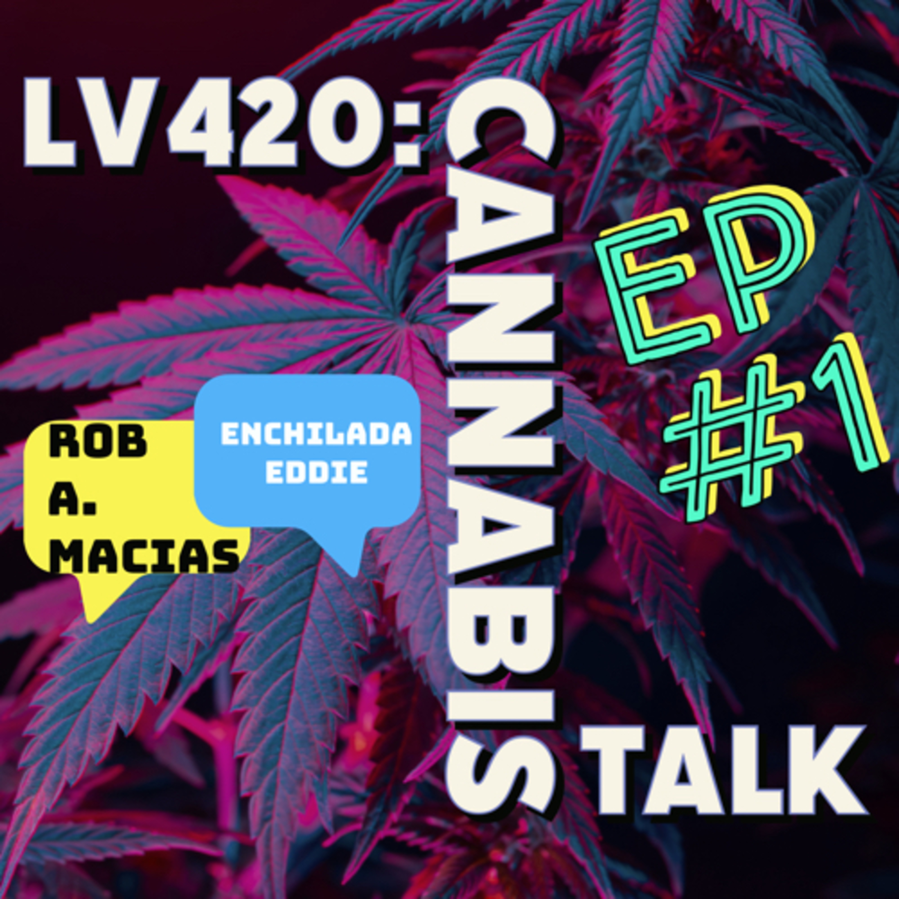 Podcasts at The Wildcard DTLV Studio