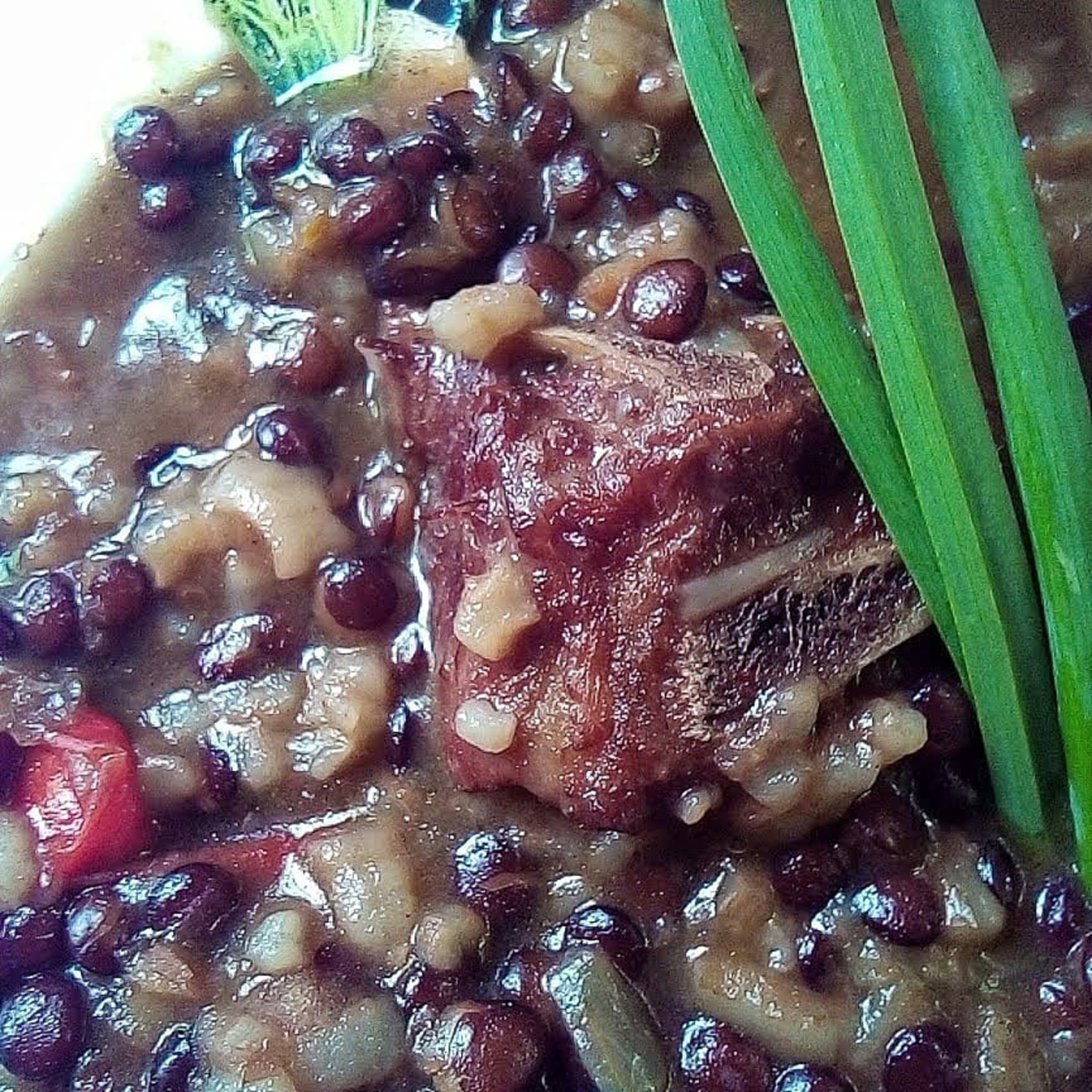 Presentación Jacobo Cocina en Casa