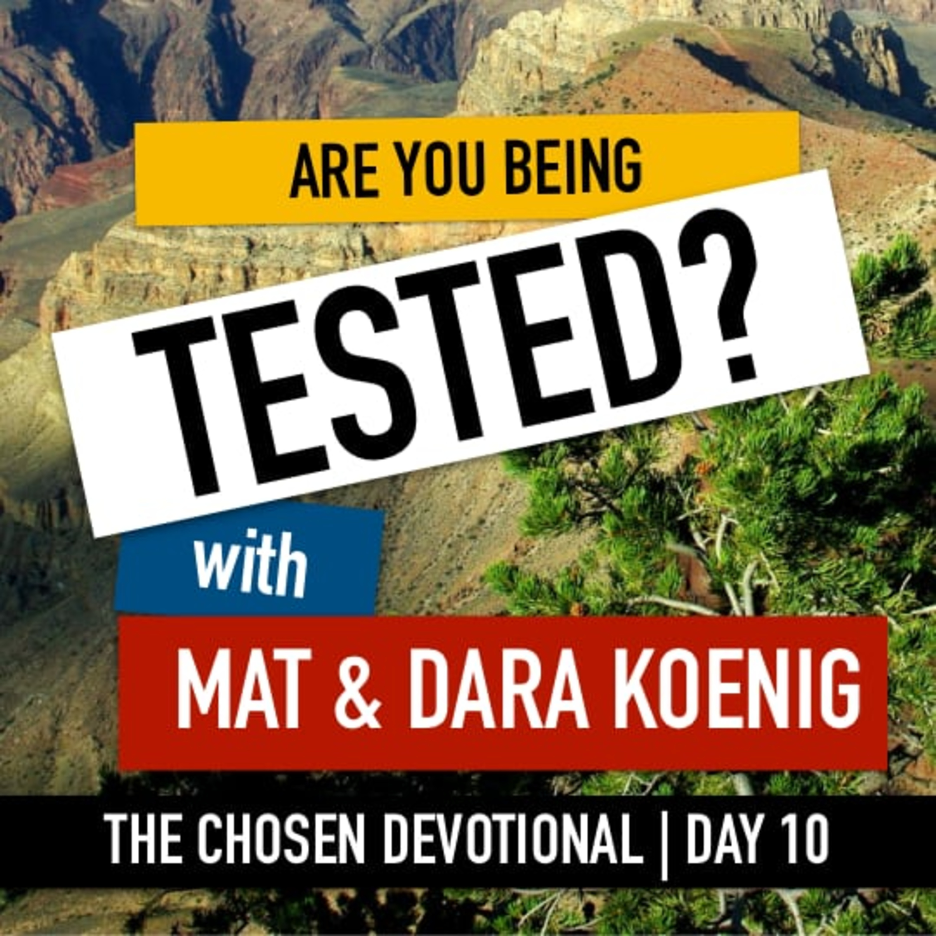 For This Reason - An HONEST Marriage Podcast for people who aren\'t perfect