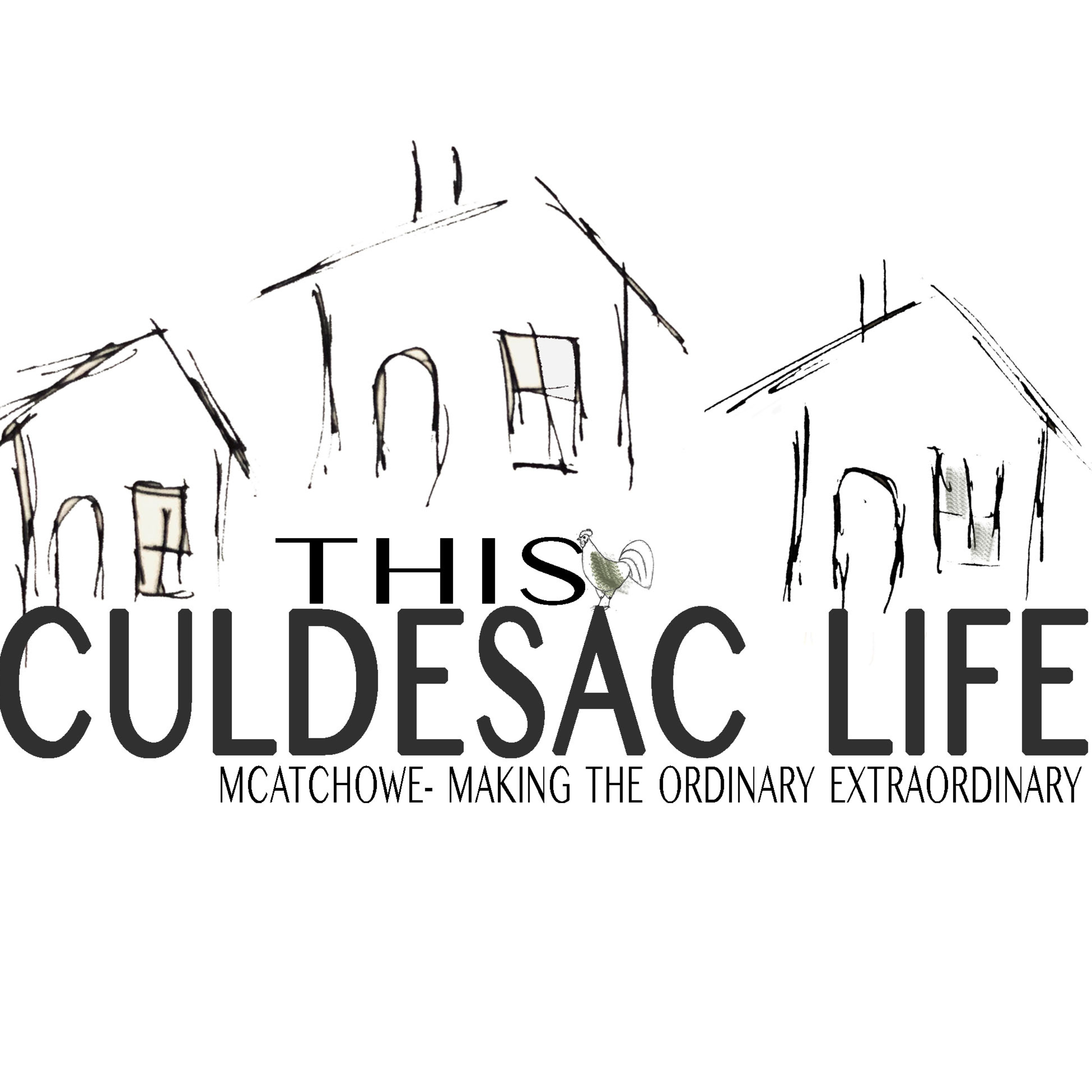 This Culdesac Life