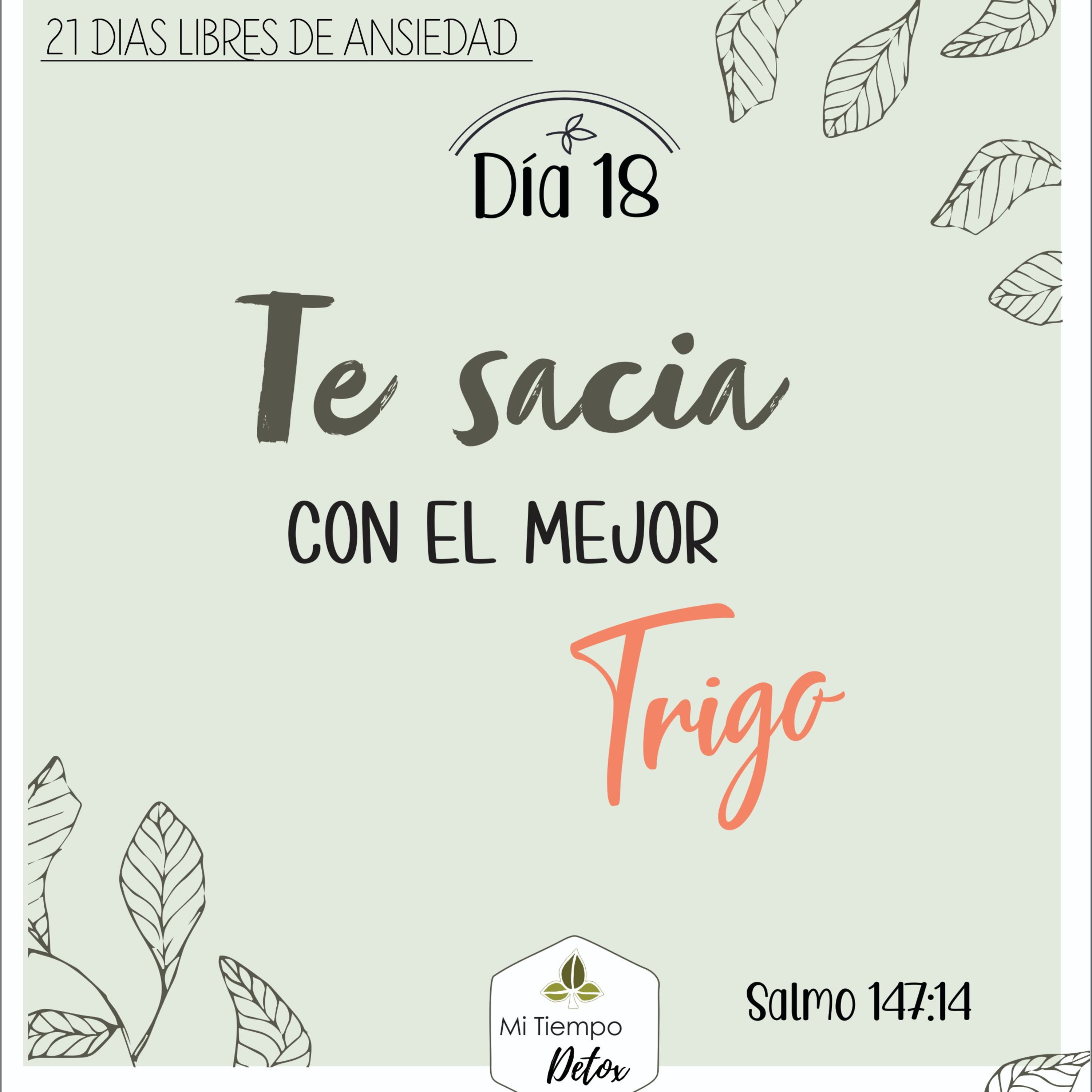 Día 18 - 21 días libres de ansiedad  episode artwork