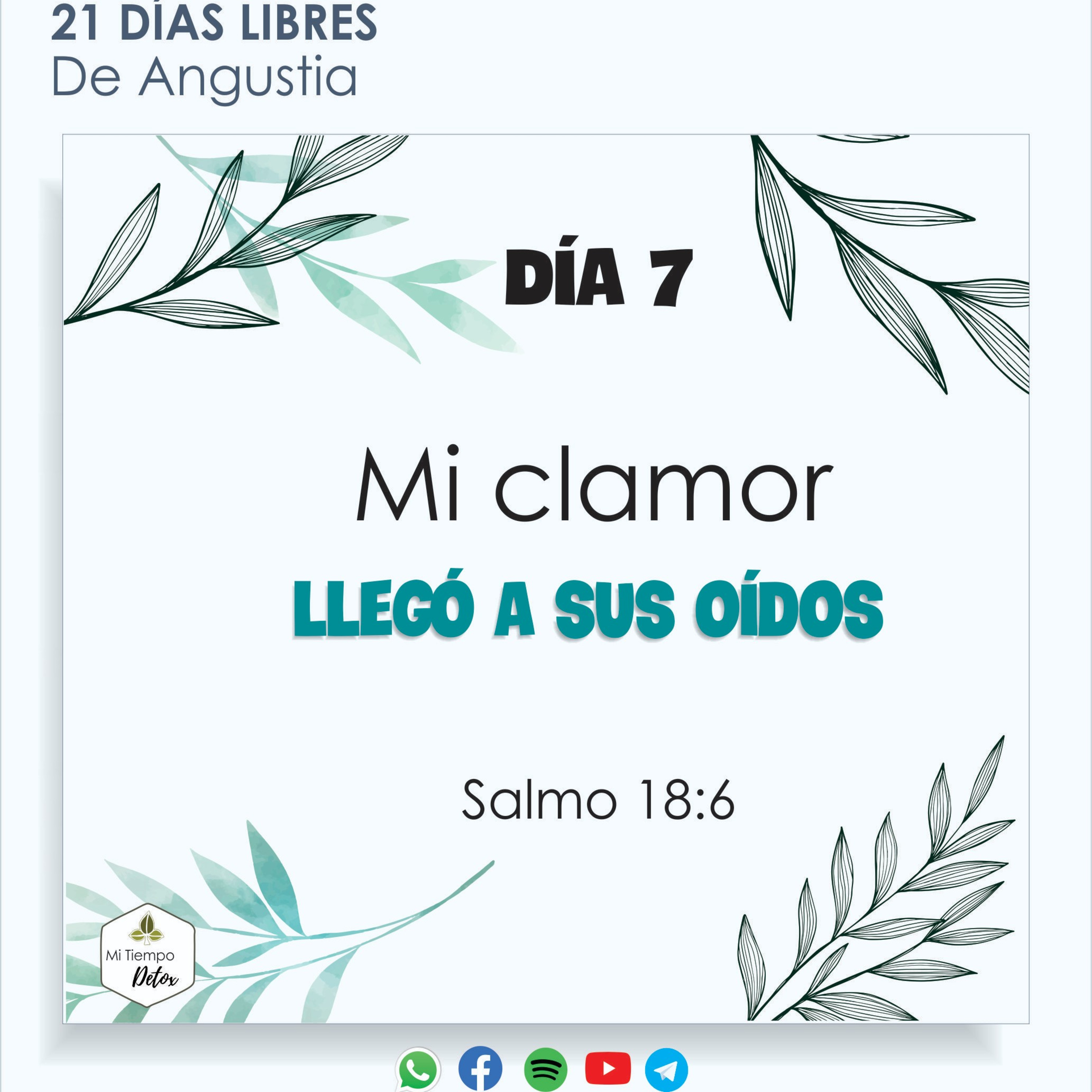 Día 7 - 21 días libres de angustia  episode artwork