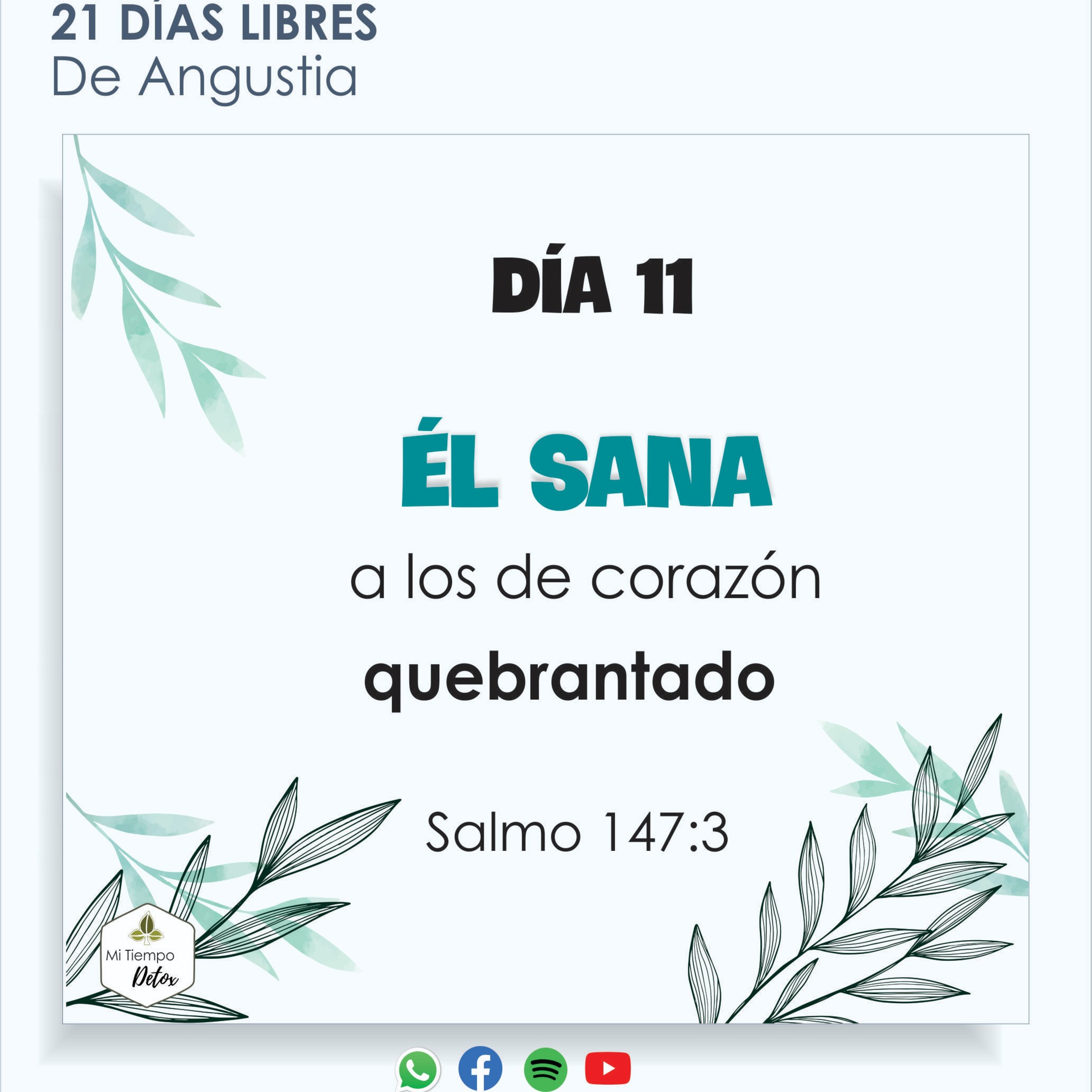Día 11 - libres de angustia  episode artwork