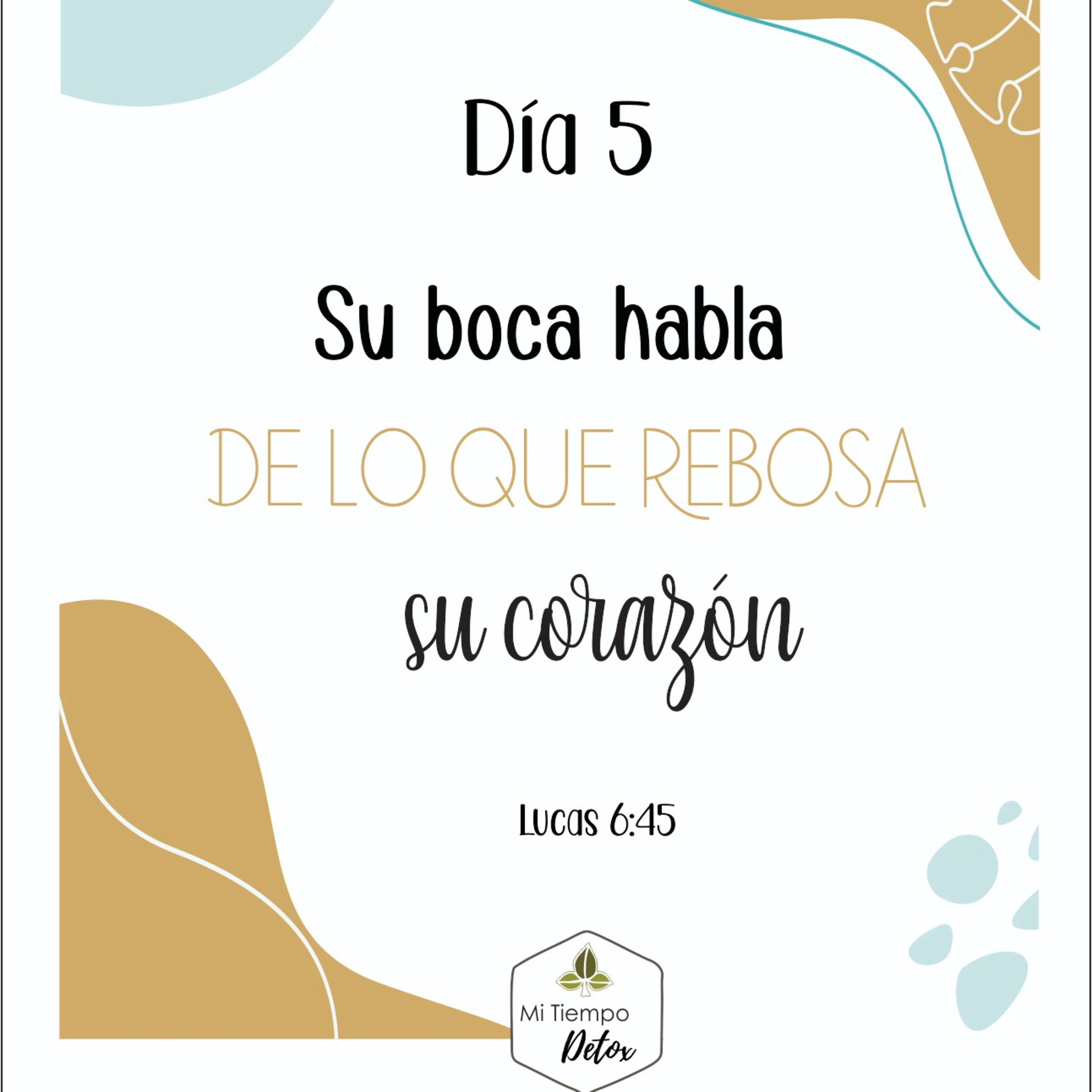 Día 5 - 21 días de perdón  episode artwork