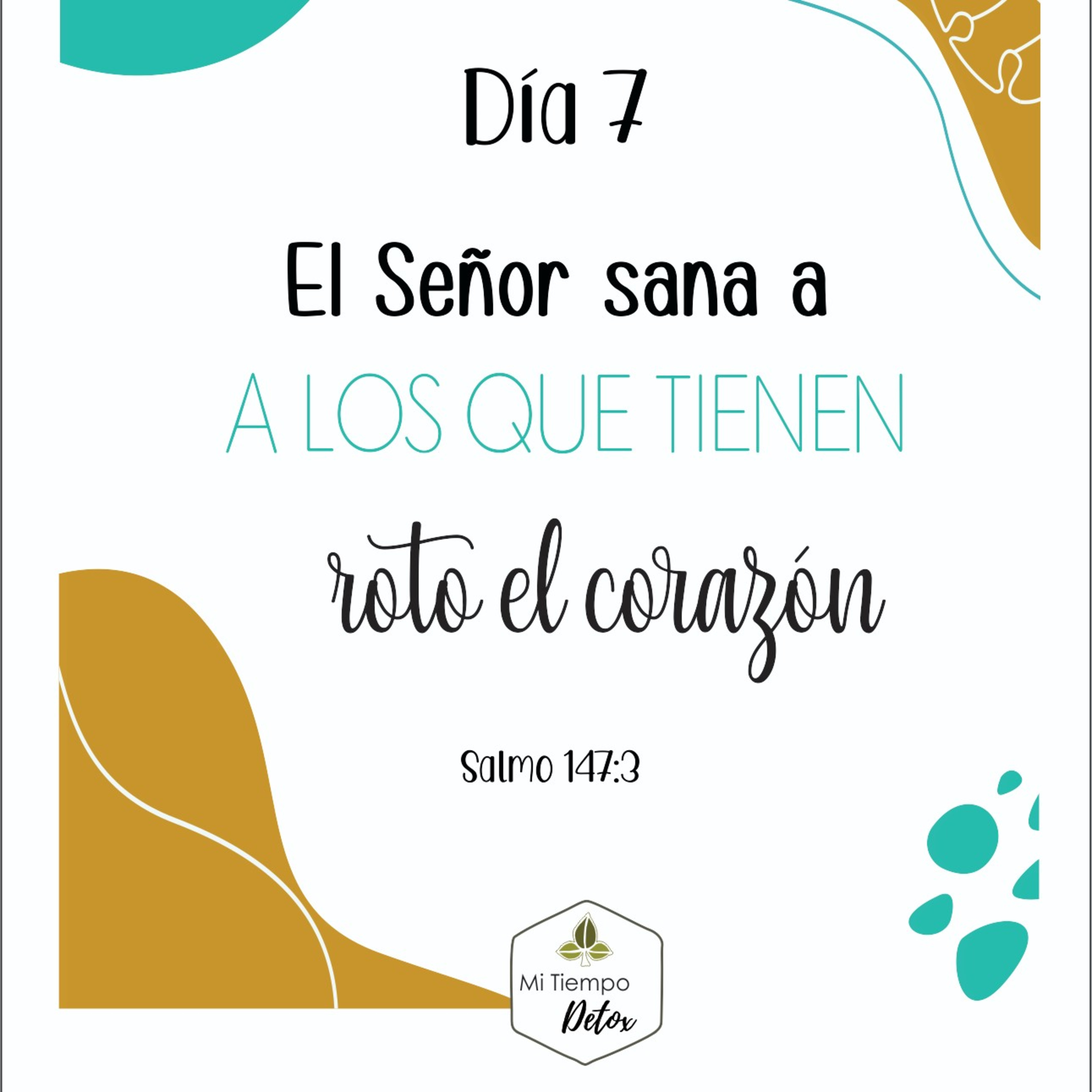 Día 7 - 21 días de perdón  episode artwork