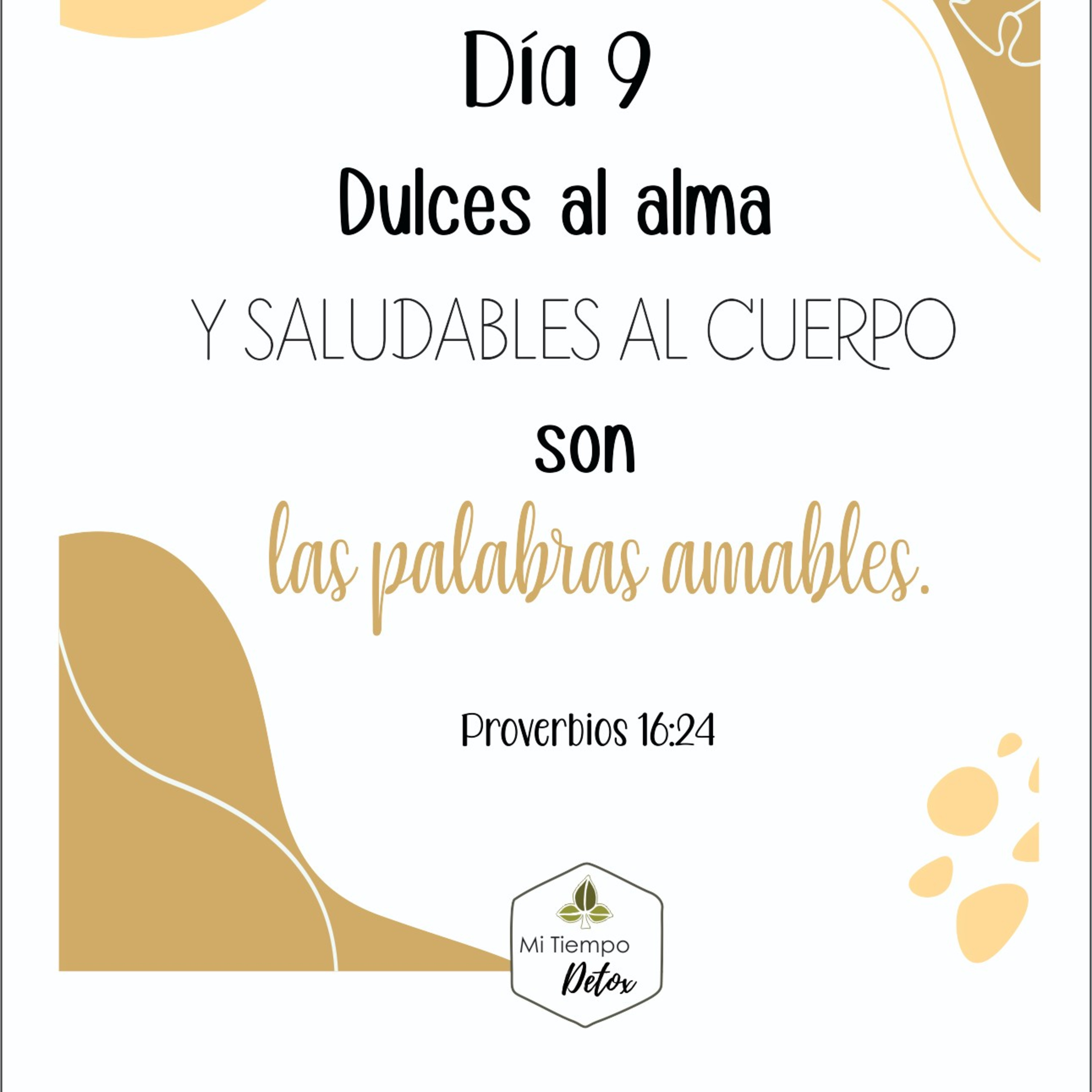 Día 9 - 21 días de perdón 