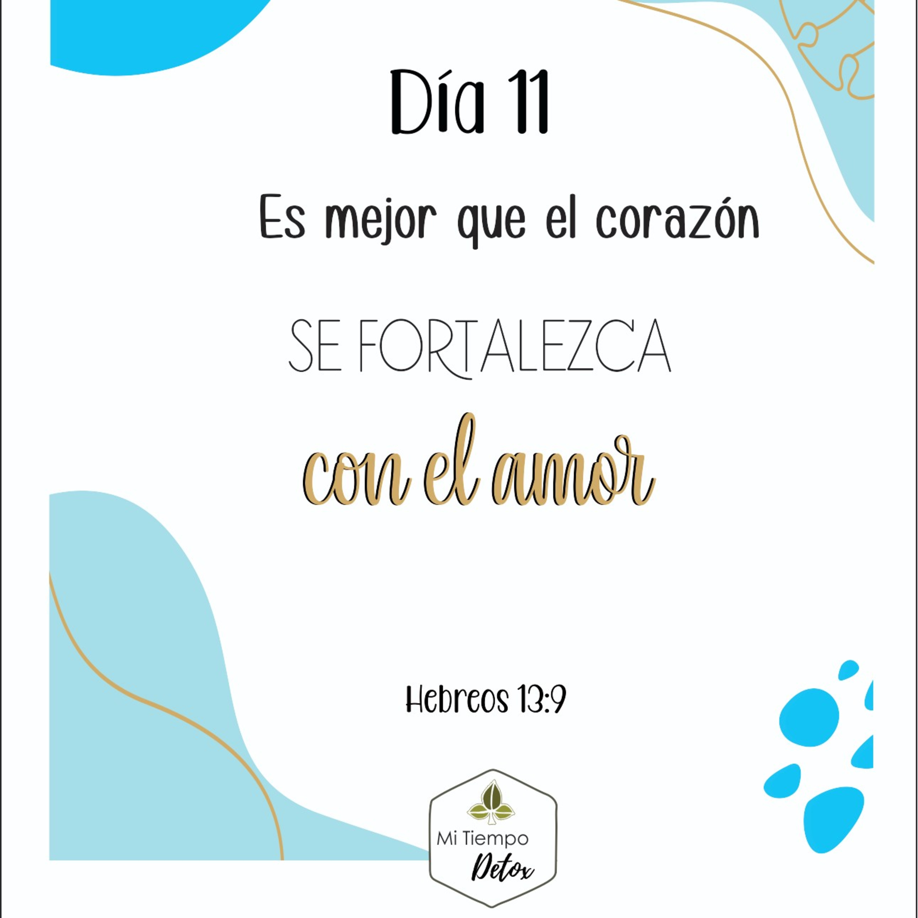 Día 11 - 21 días de perdón  episode artwork