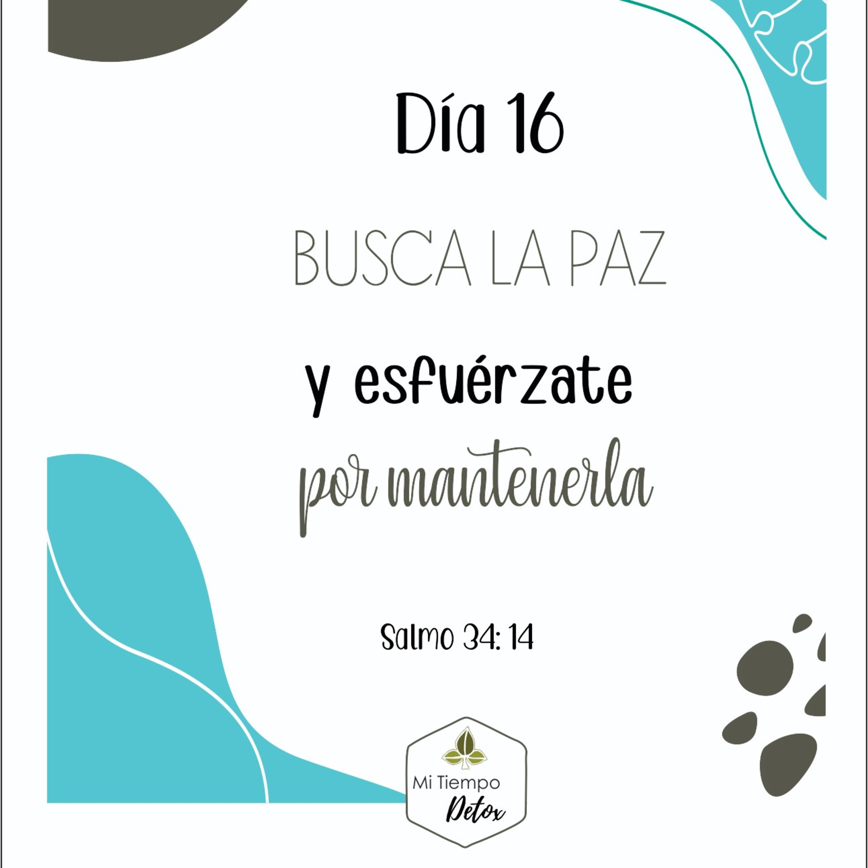 Día 16 - 21 días de perdón  episode artwork