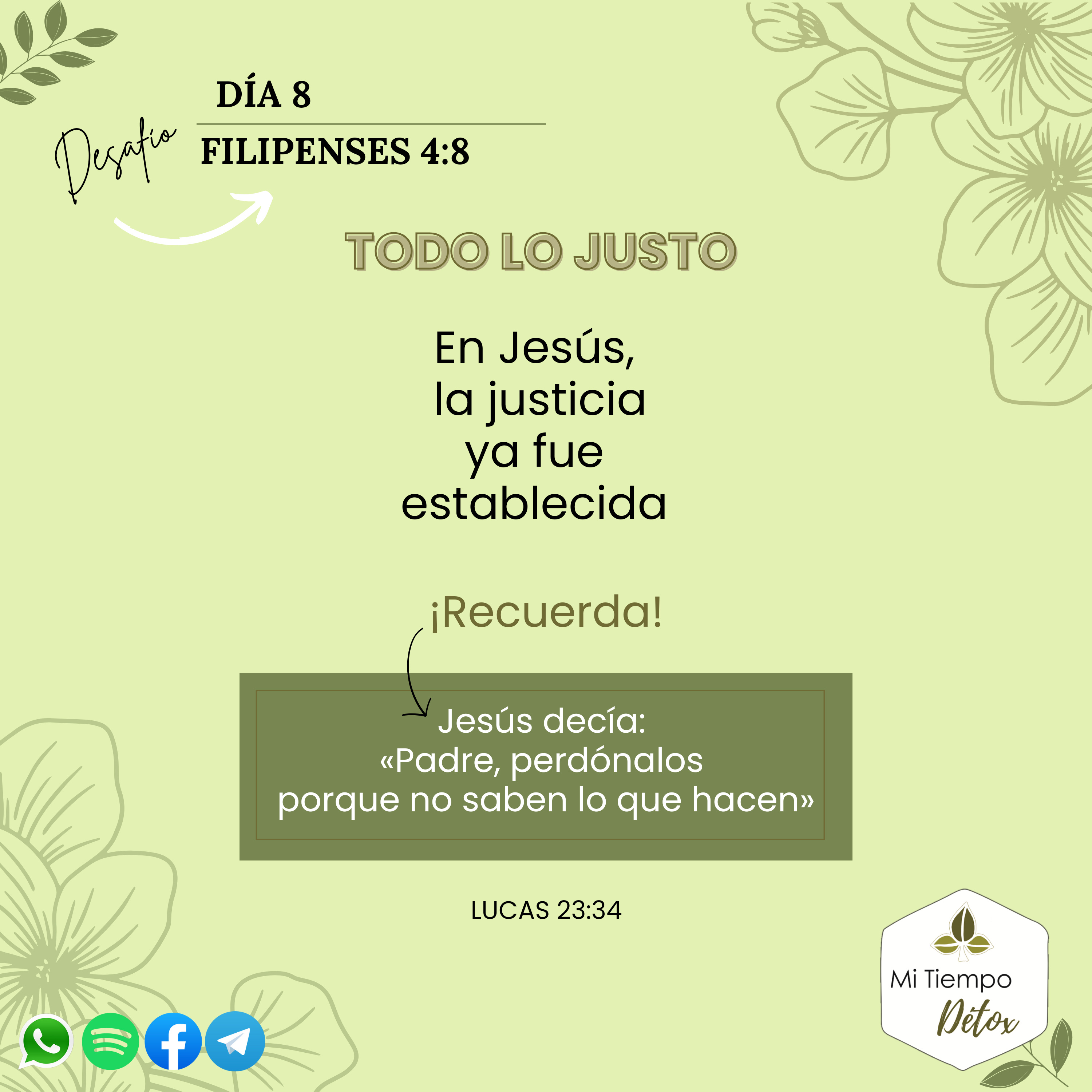 Día 8 - Desafío filipenses 4:8 episode artwork