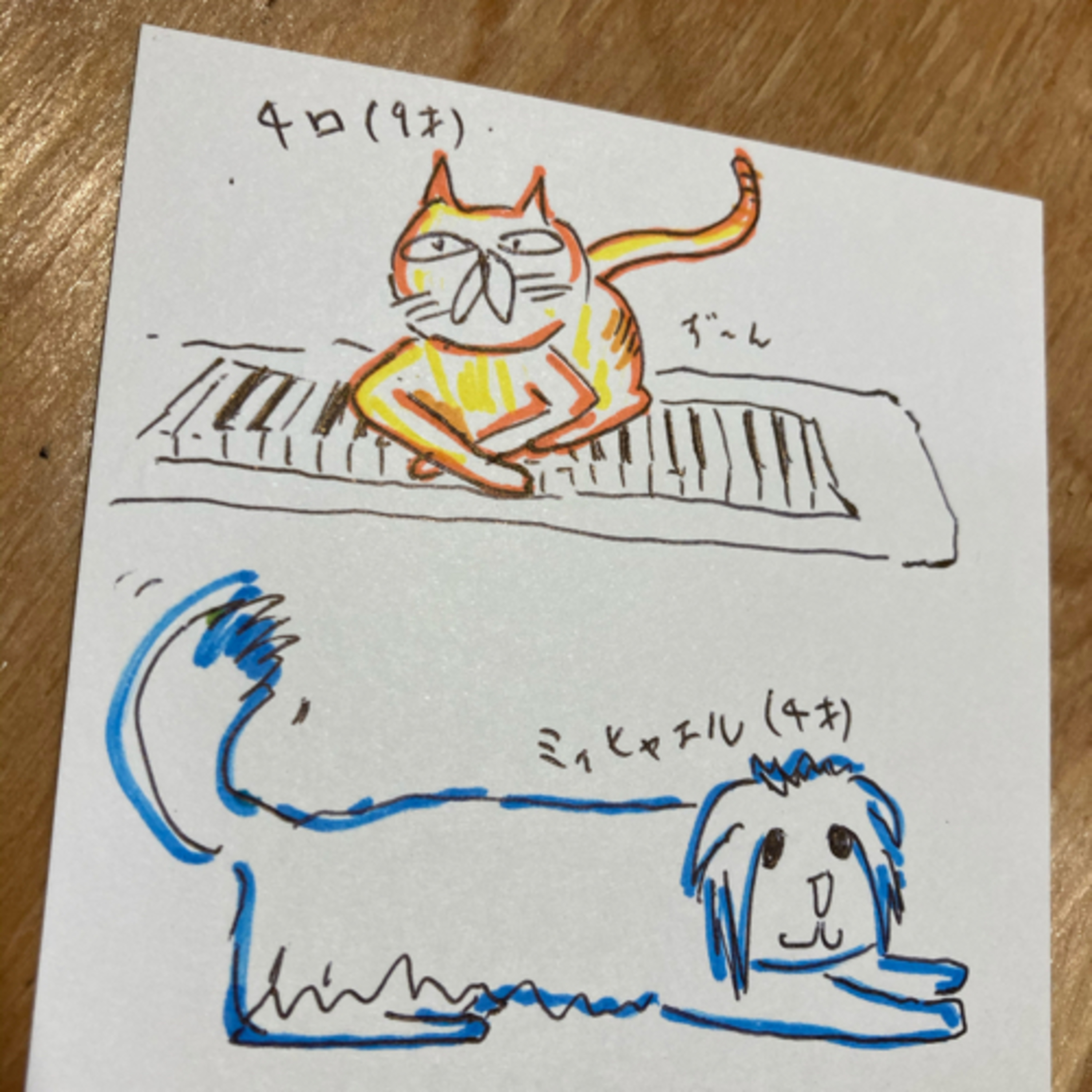 台風でやって来た神様 episode artwork