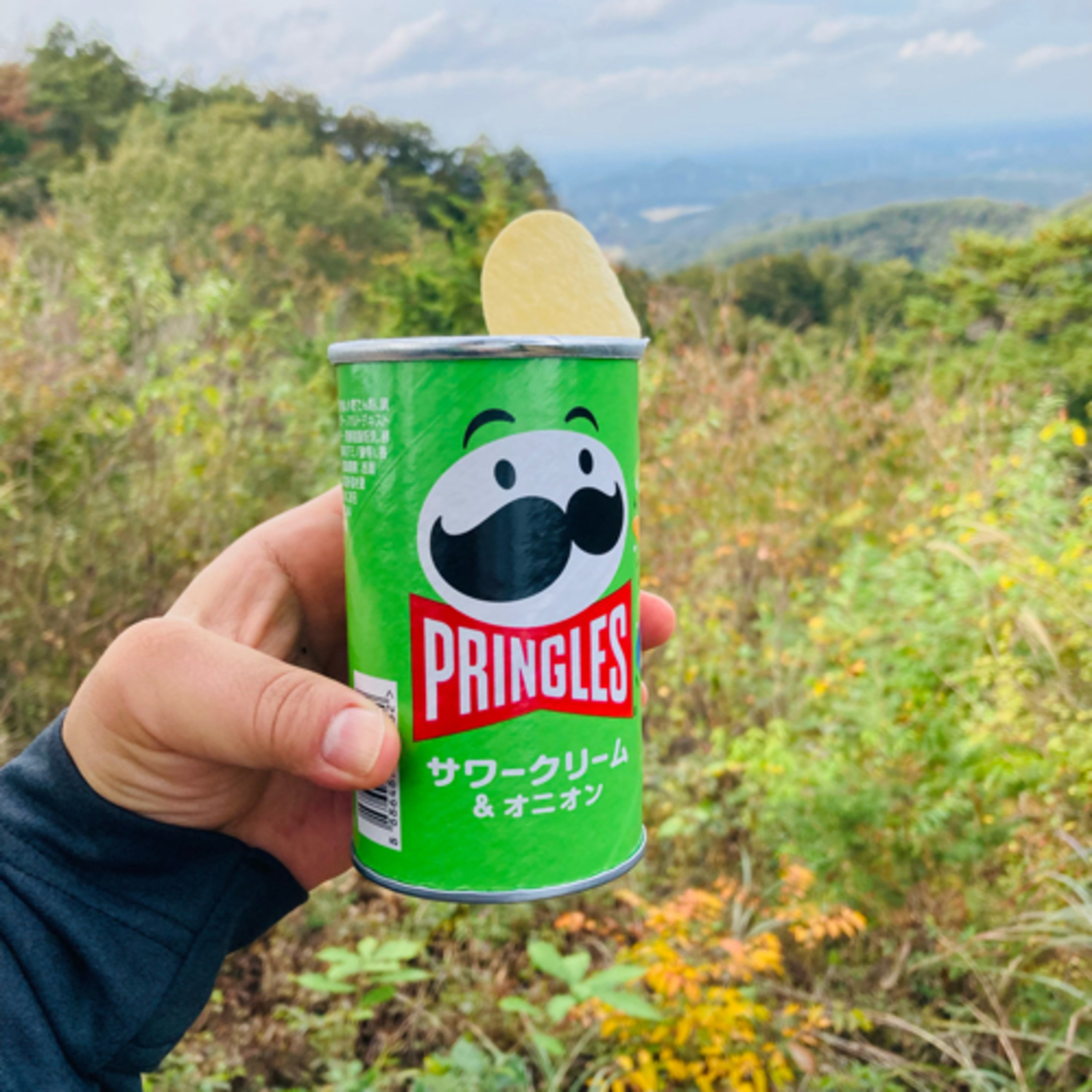 山登りと陶器市 episode artwork