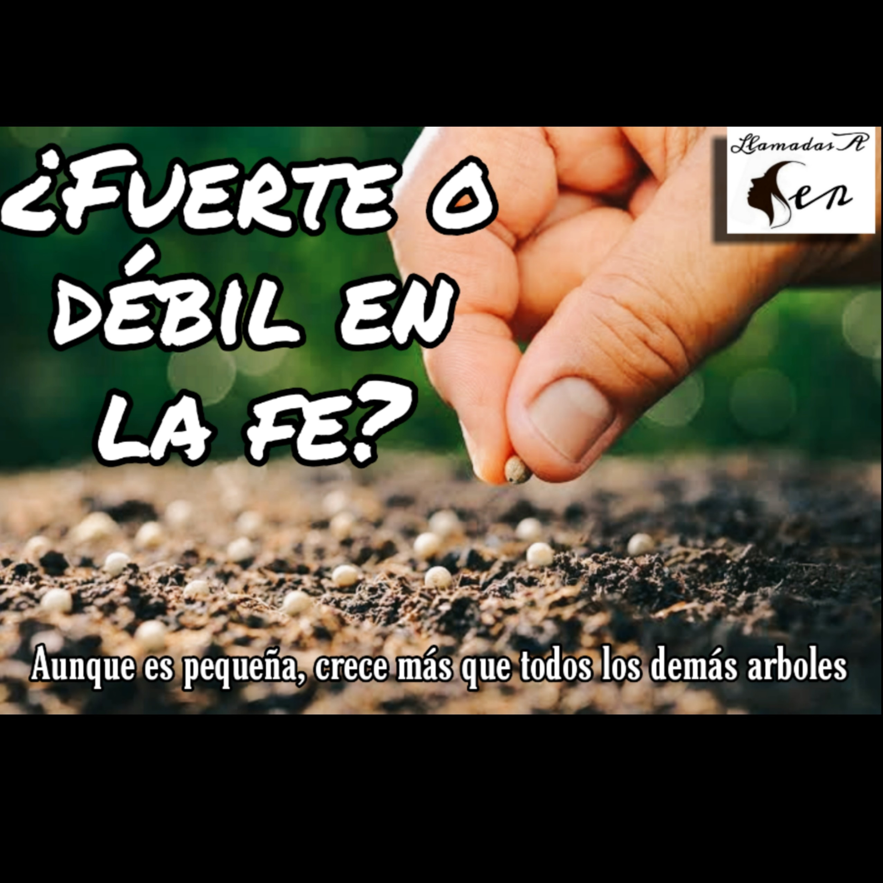Llamadas A Ser