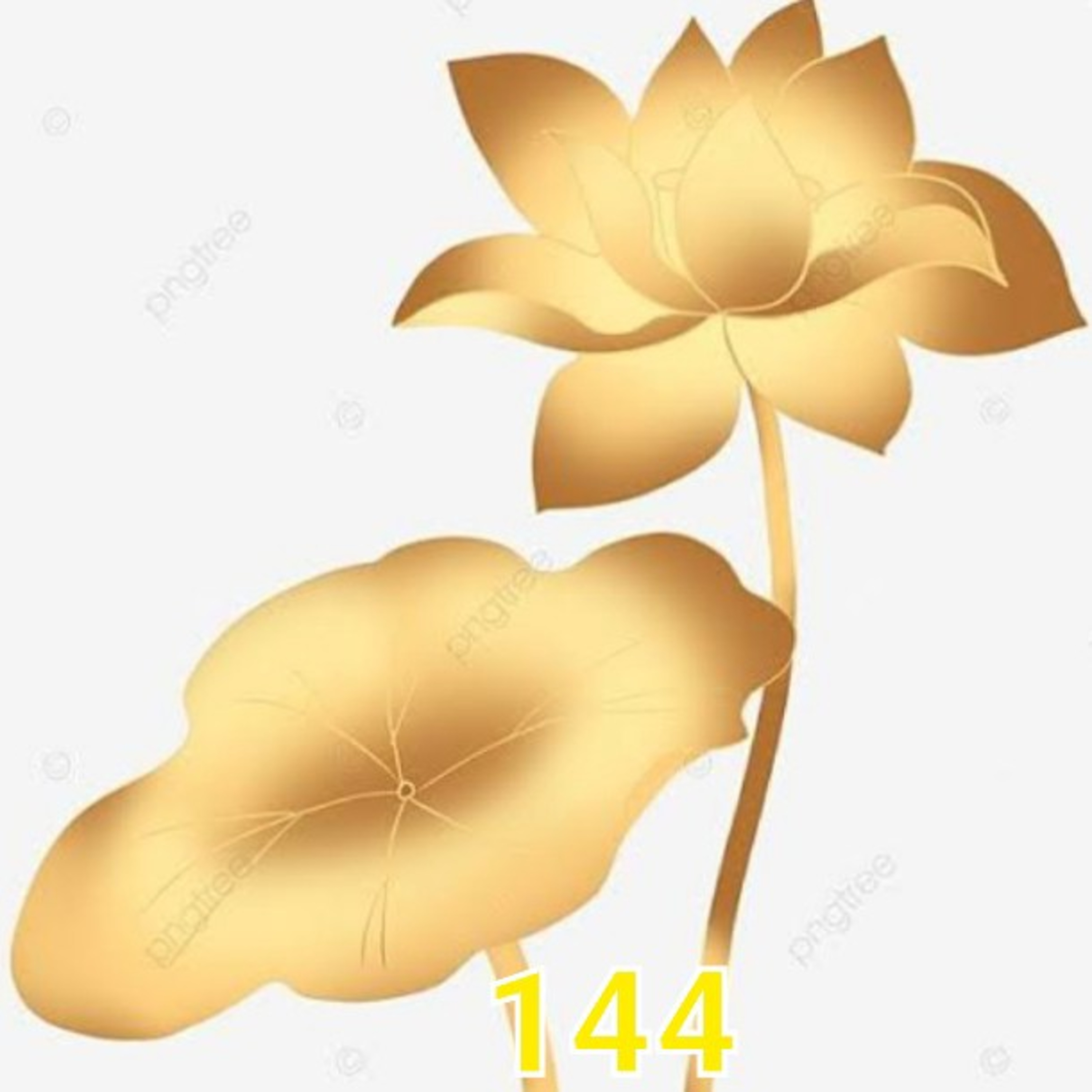 144 กรี๊ด..!!