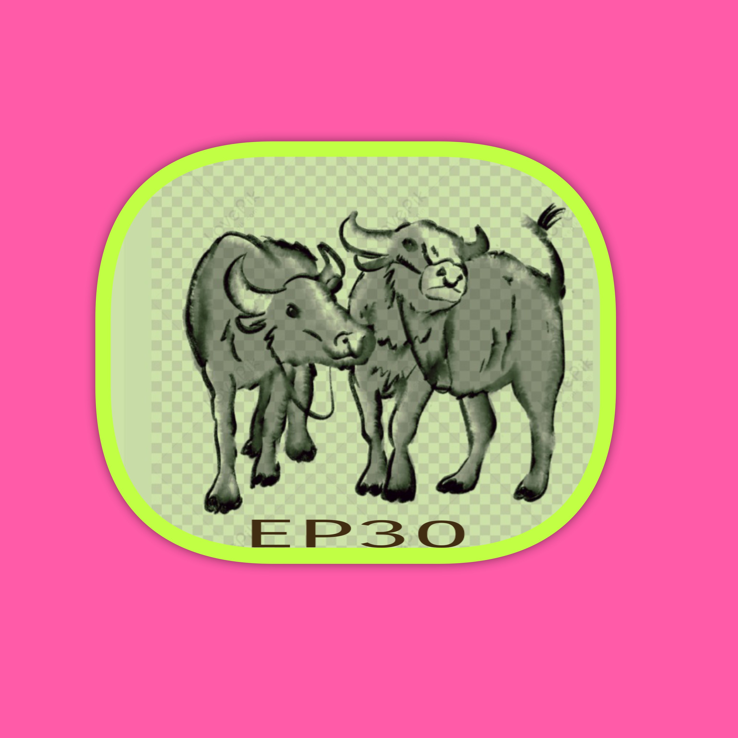 EP30 ควายไม่โวย