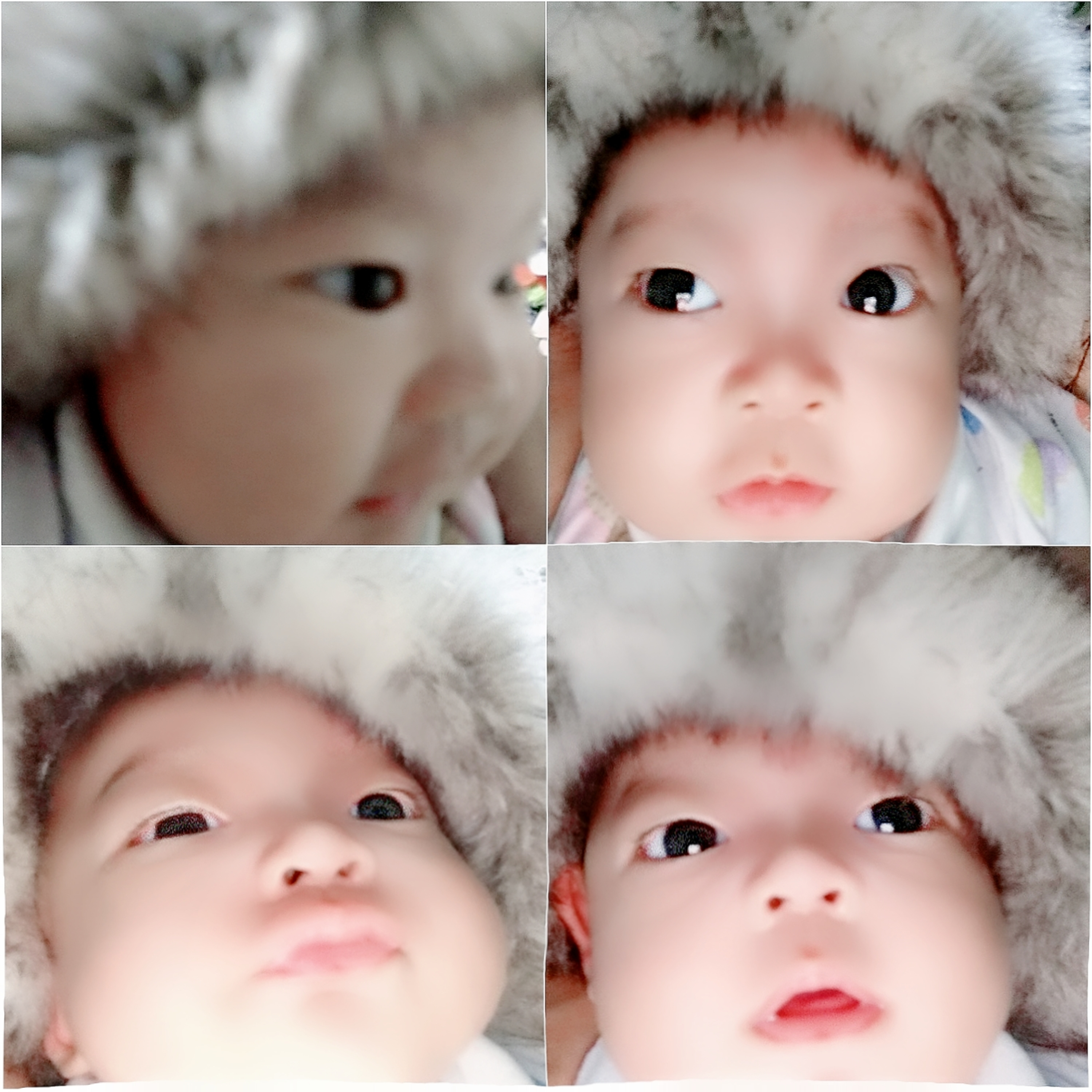 miauwers cuties