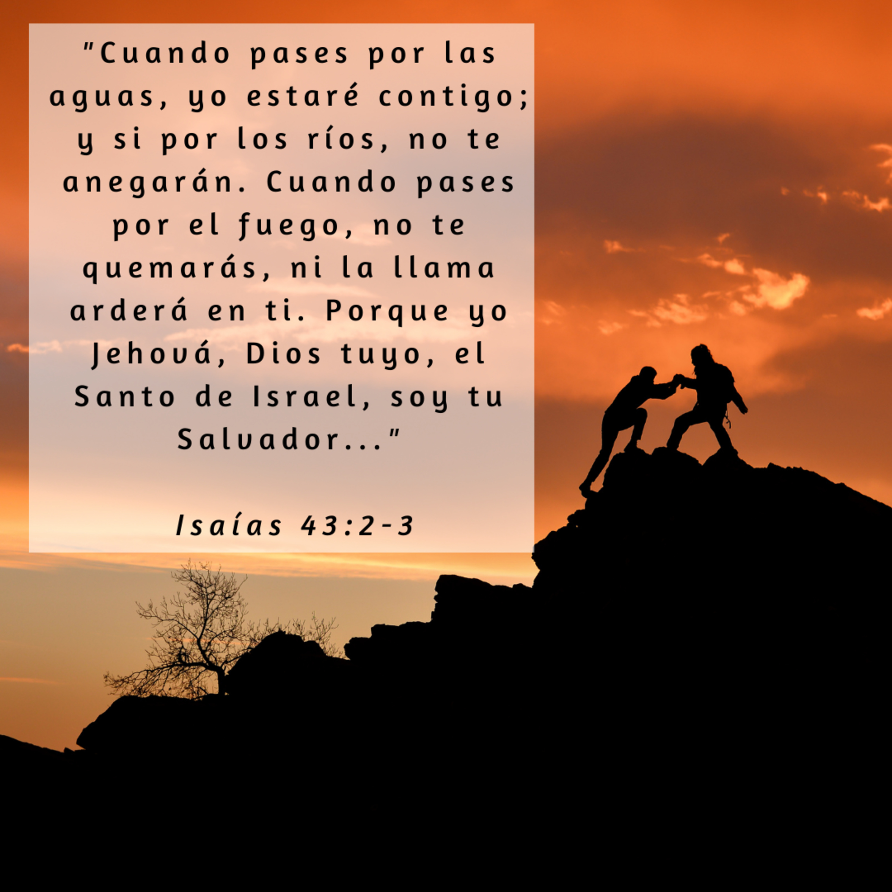 Buenas Nuevas - Devocional Diario