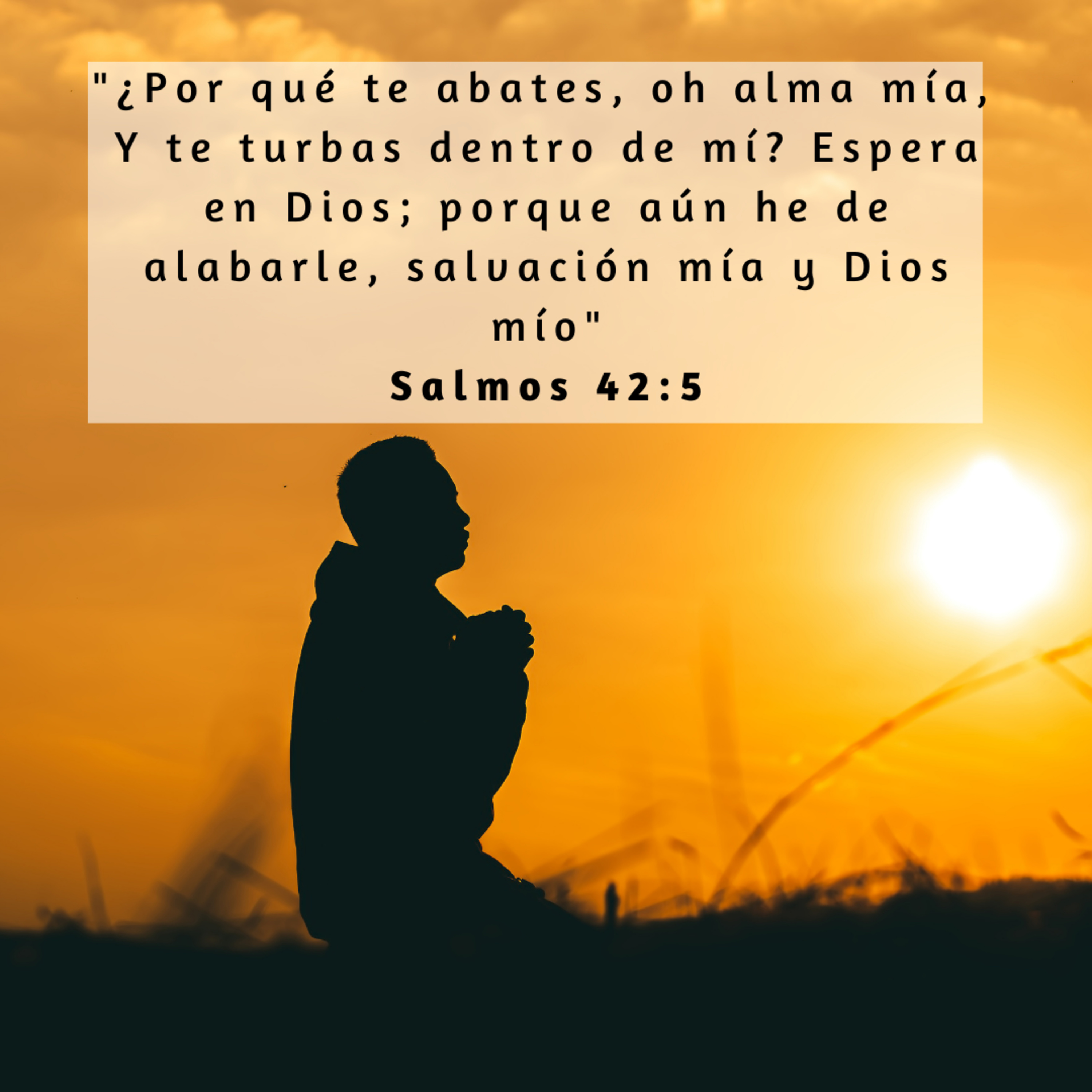 Buenas Nuevas - Devocional Diario