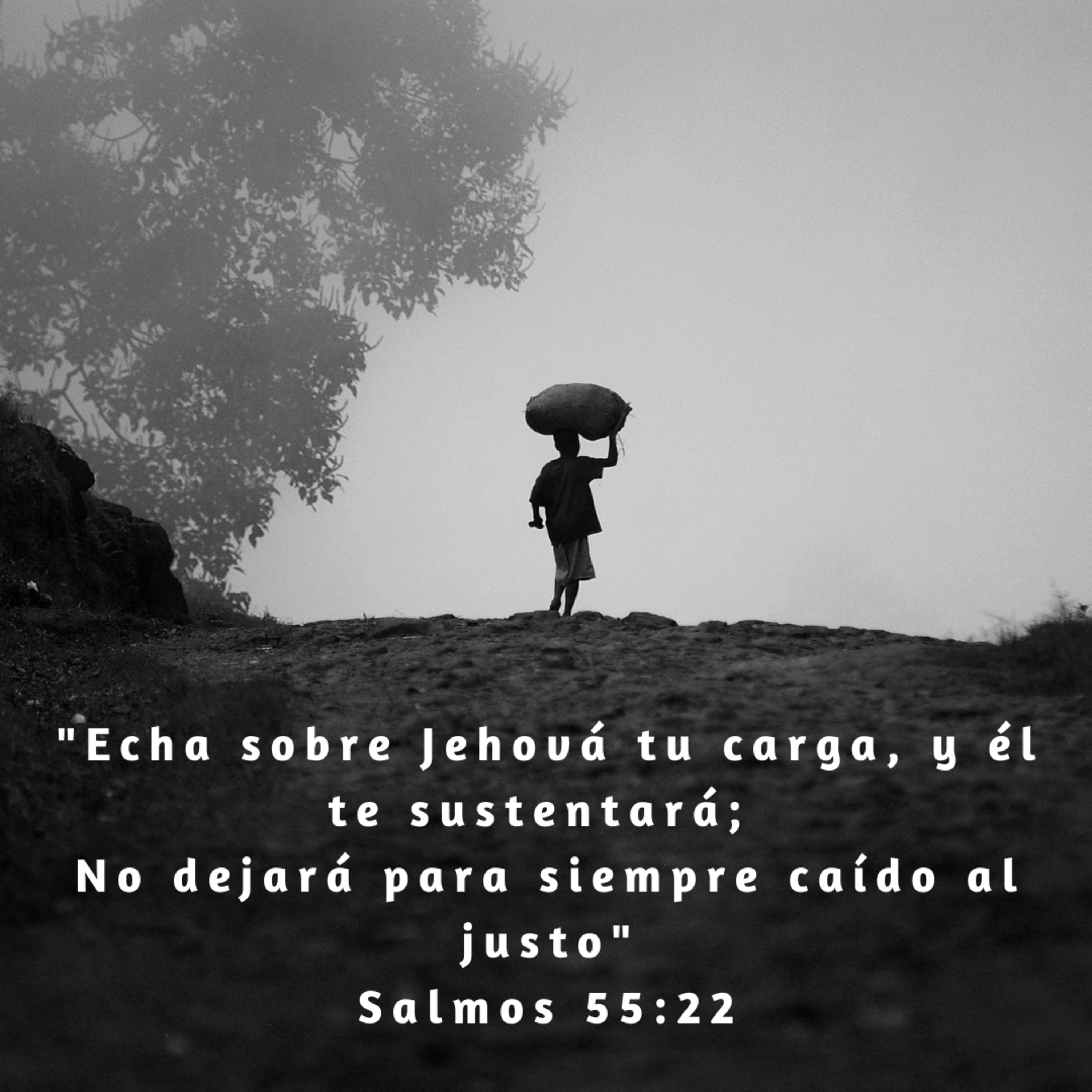 Buenas Nuevas - Devocional Diario