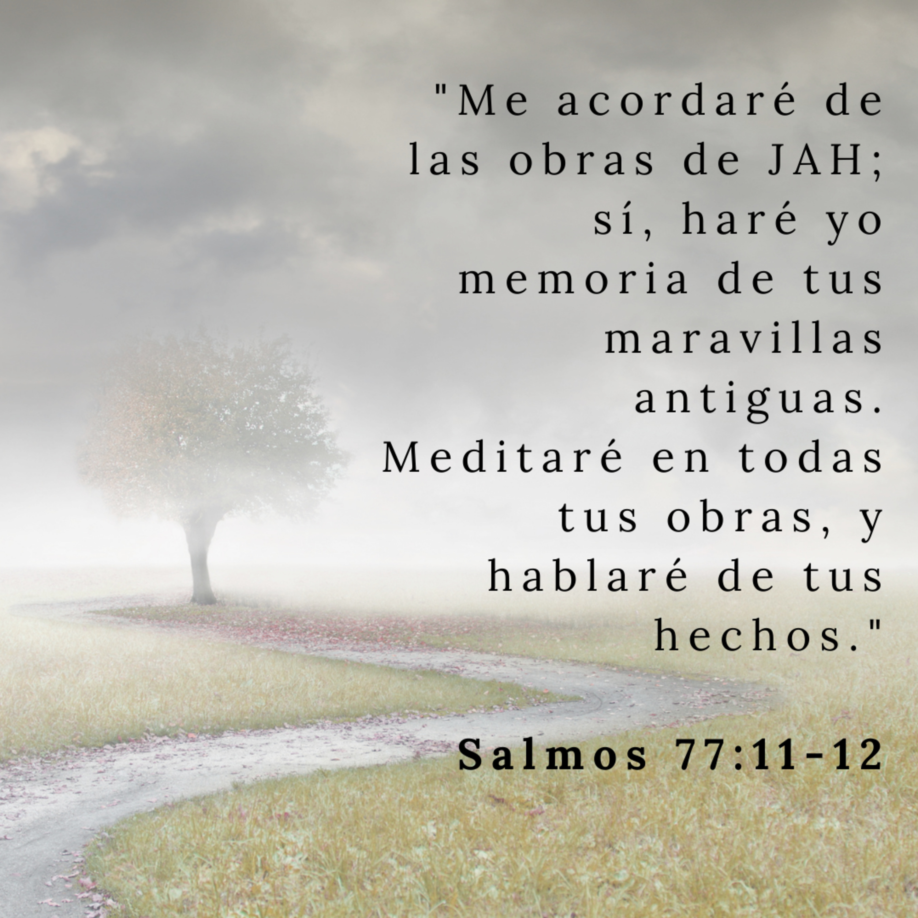 Buenas Nuevas - Devocional Diario