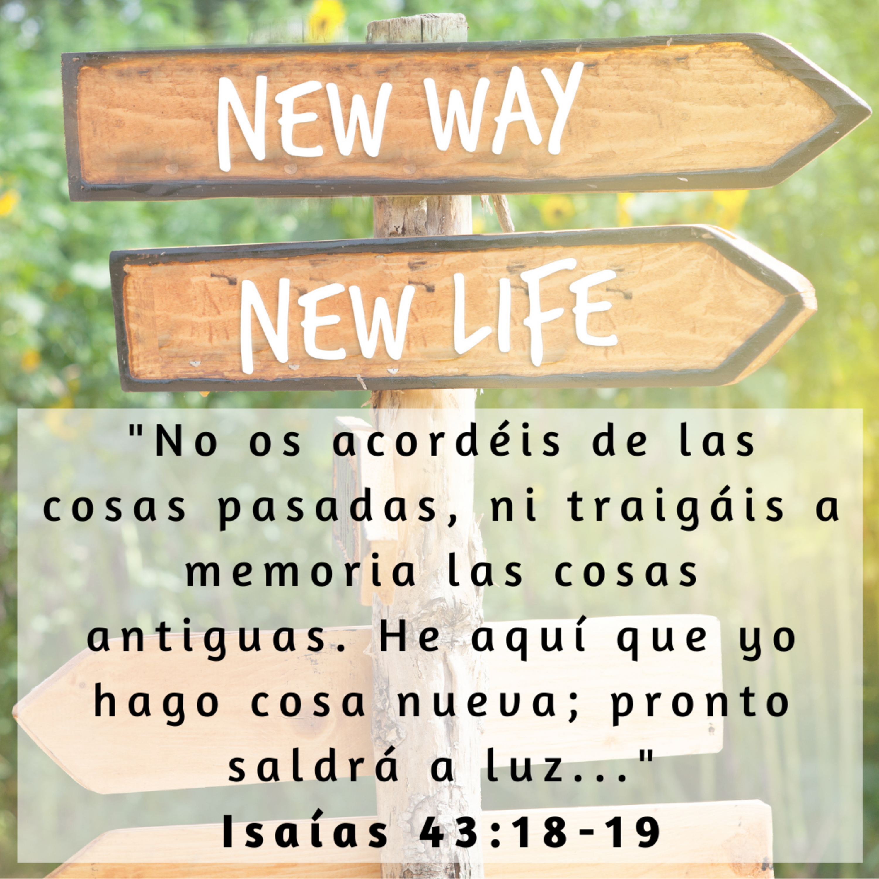 Buenas Nuevas - Devocional Diario