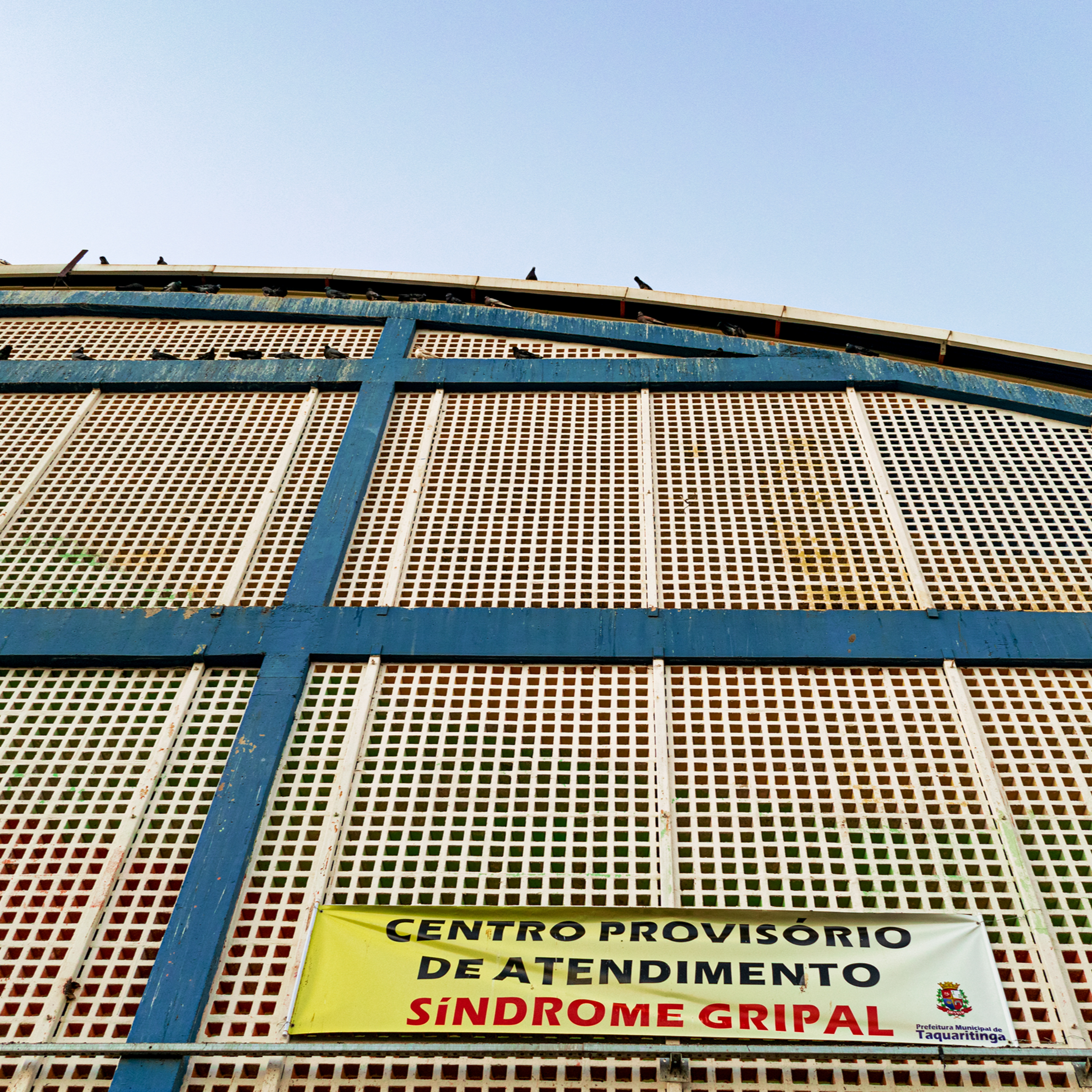 Scardoelli Prefeito 13