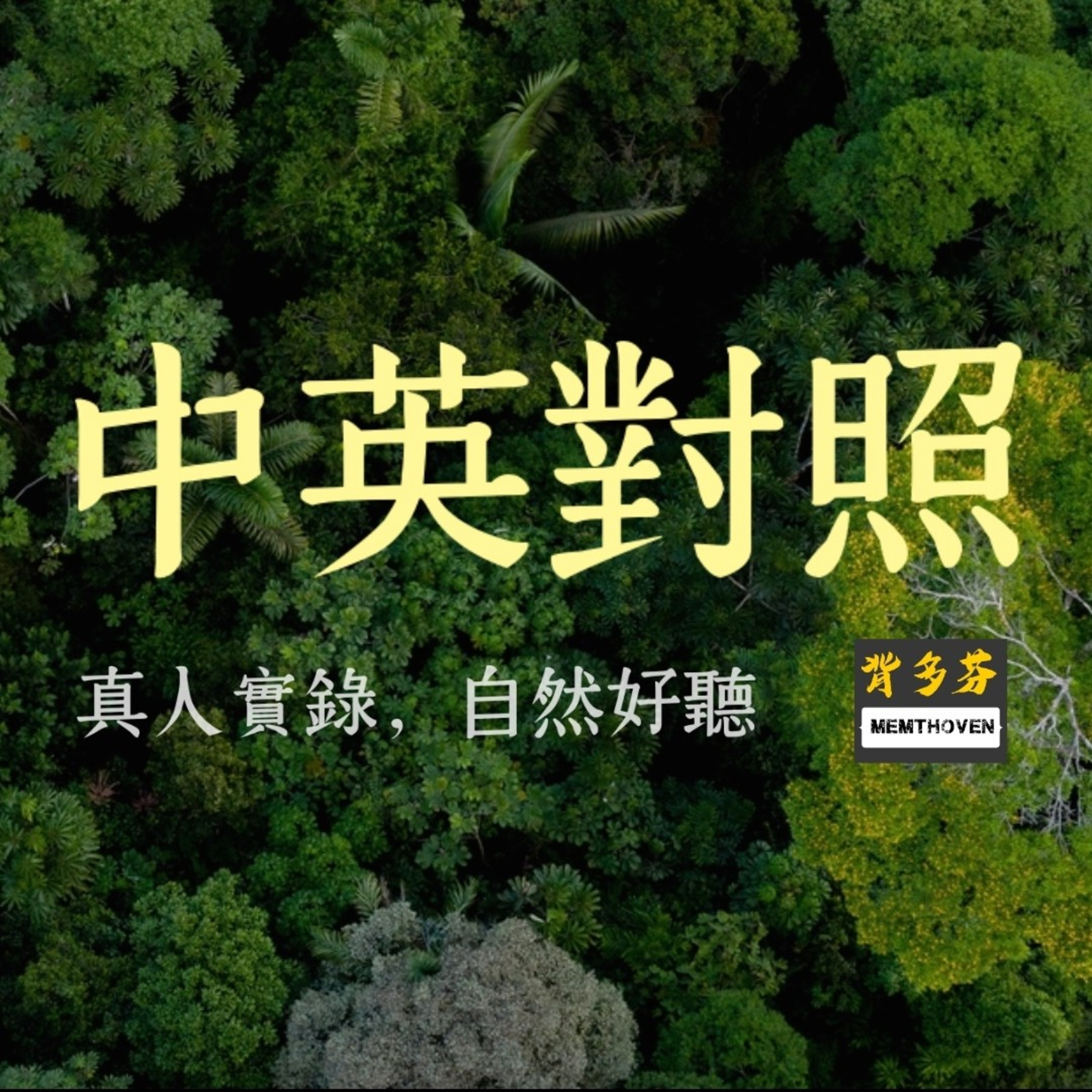 Memthoven 背多芬 | 真人朗讀法條有聲書
