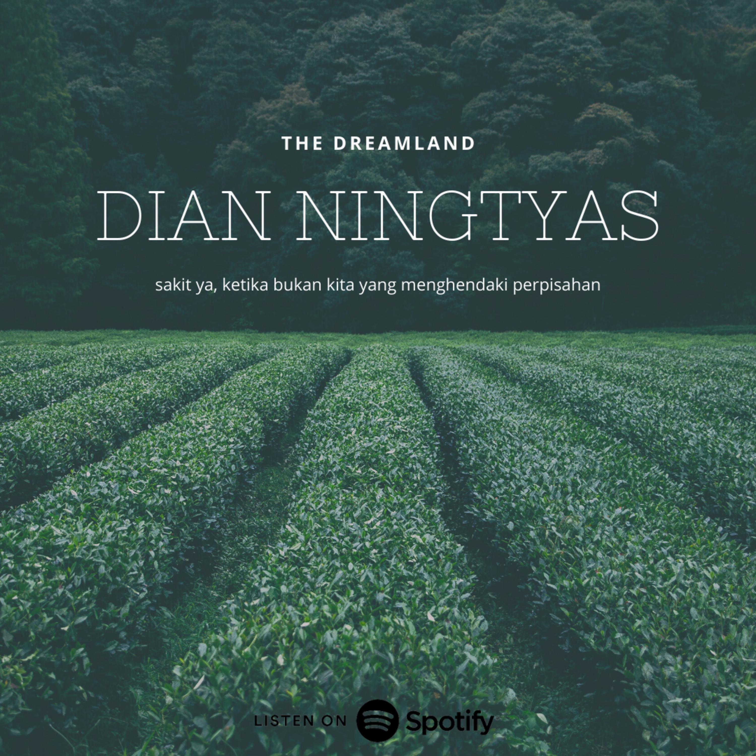 The Dreamland