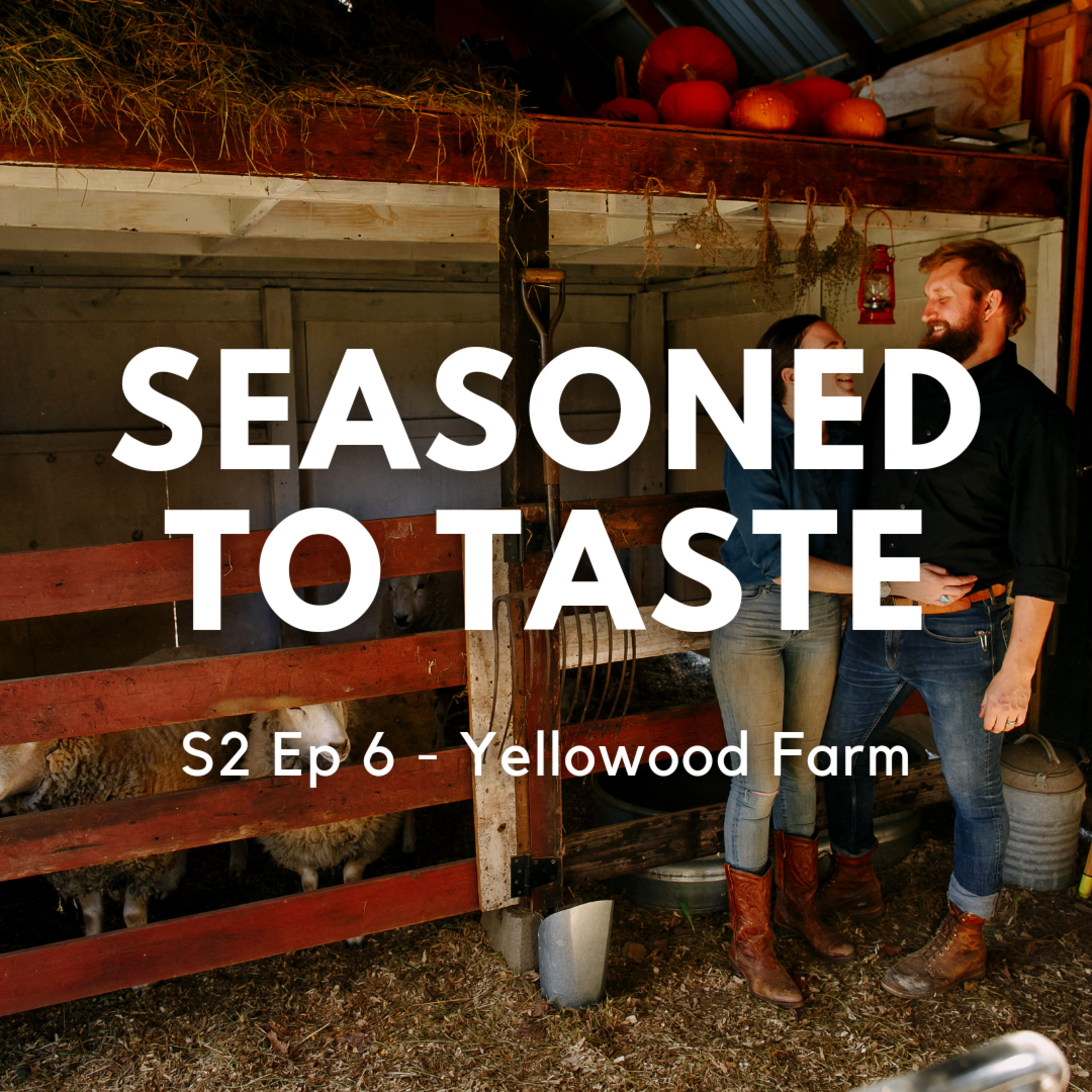 Seasoned to Taste