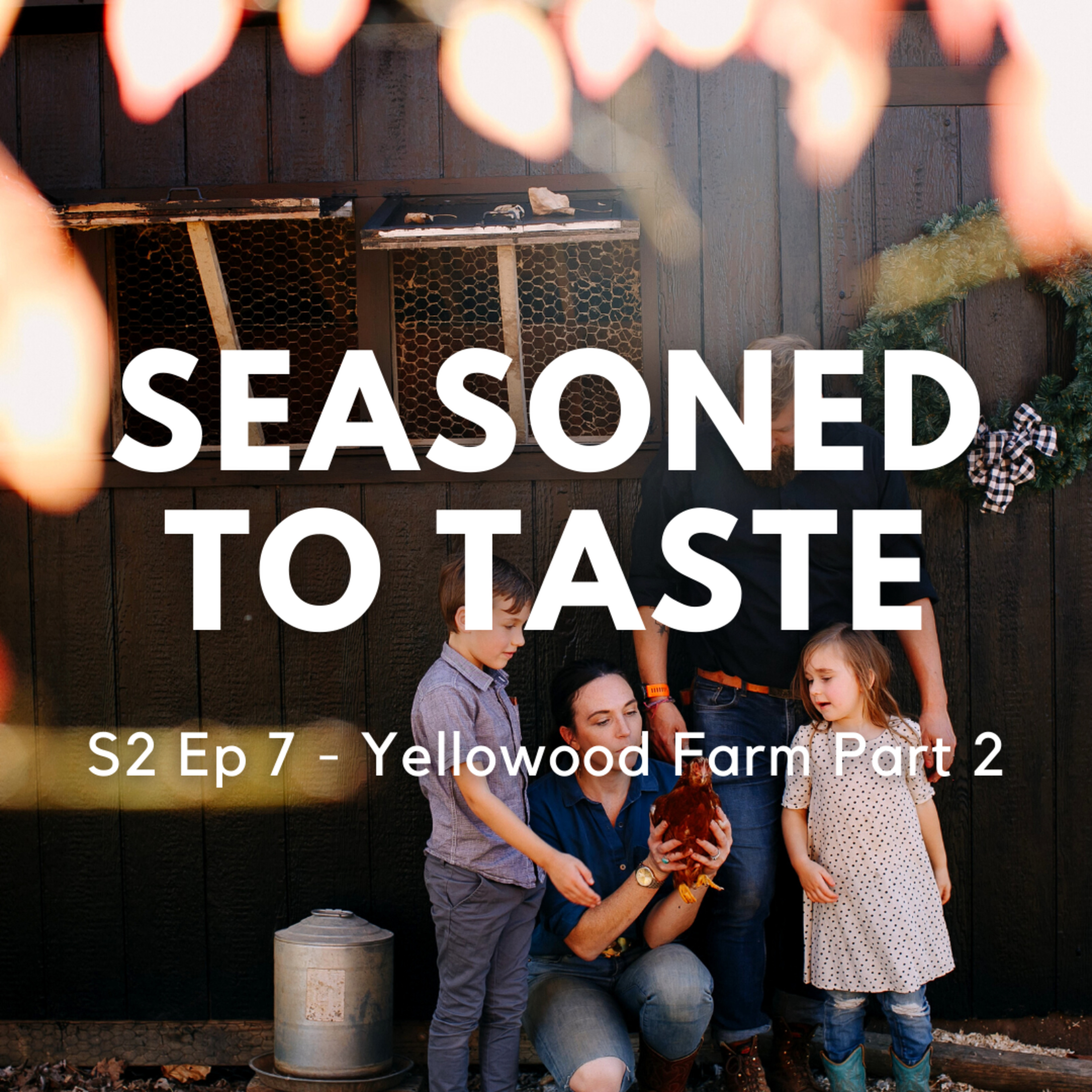 Seasoned to Taste