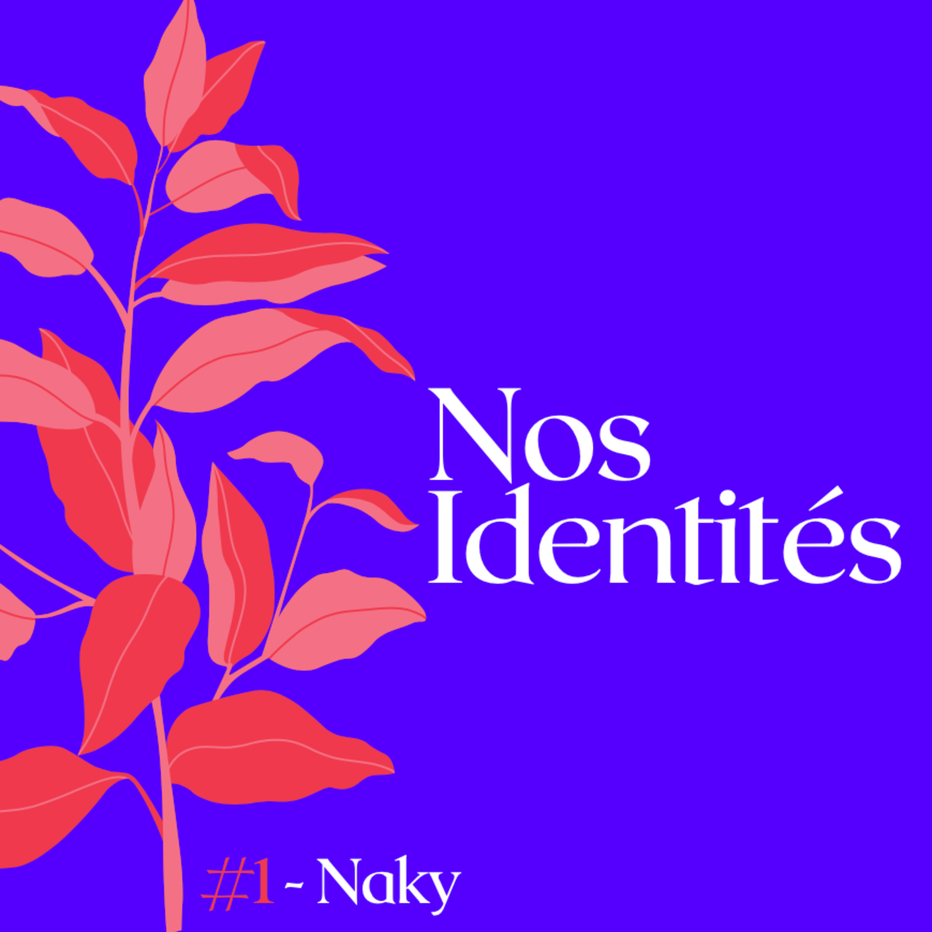 Nos Identités