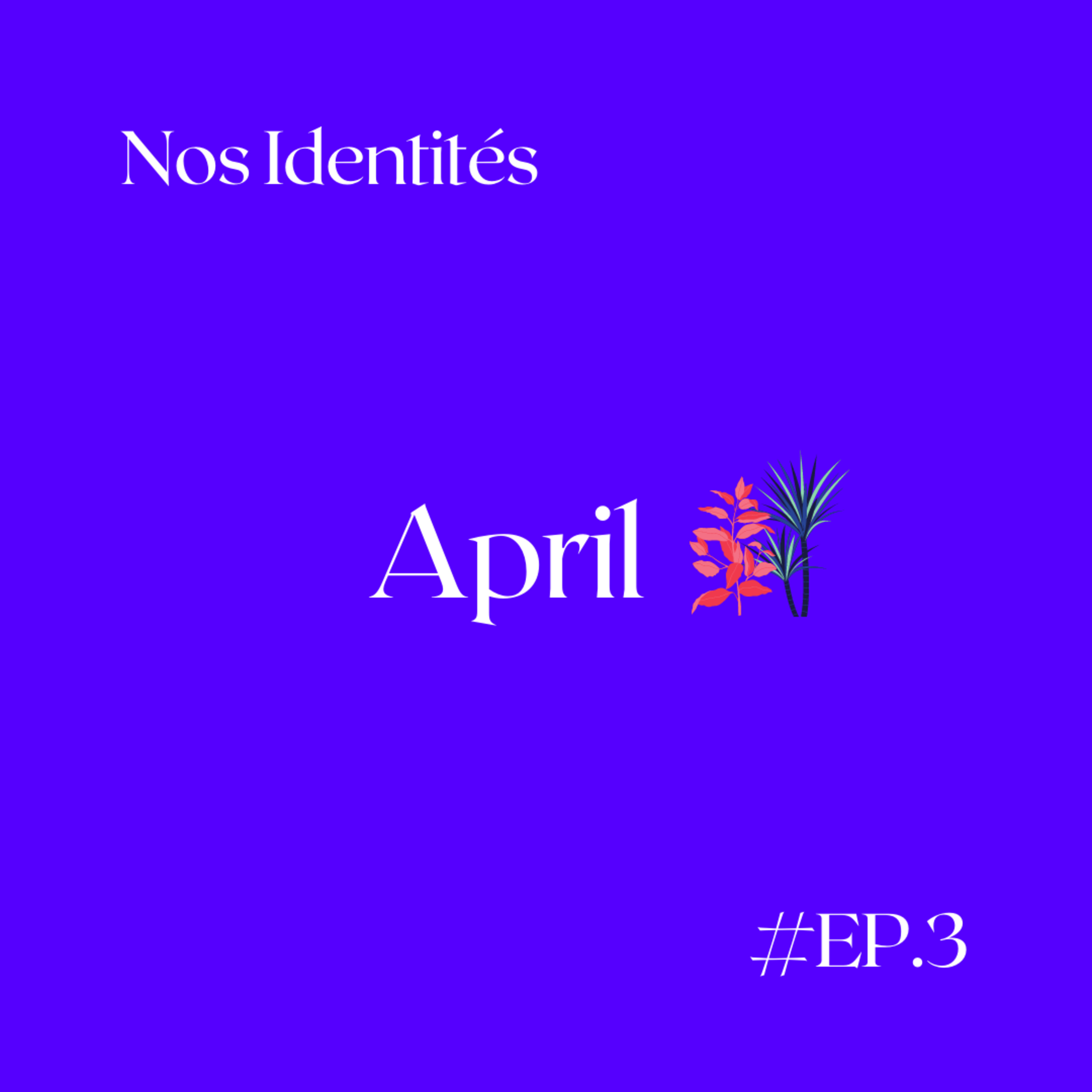 Nos Identités
