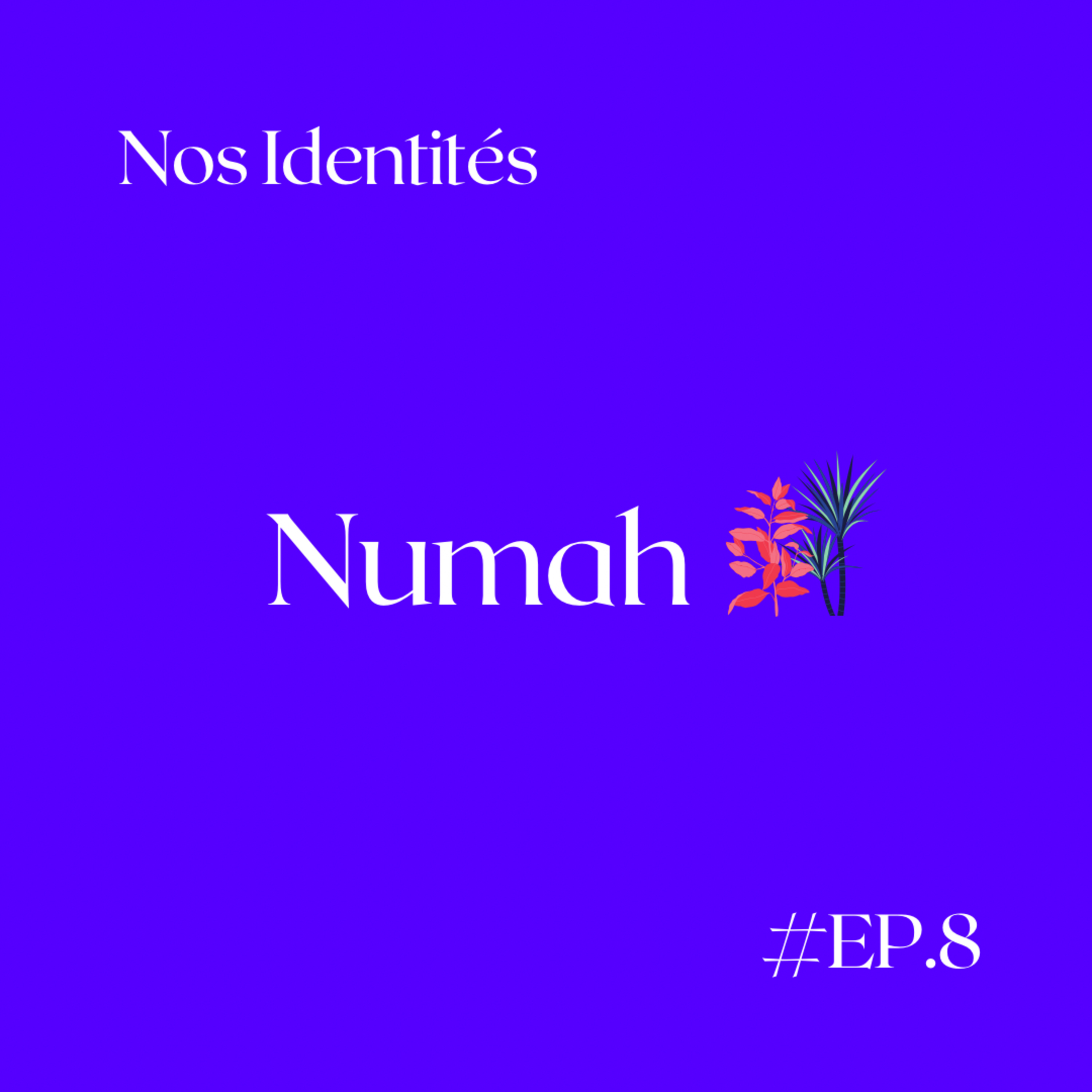 Nos Identités