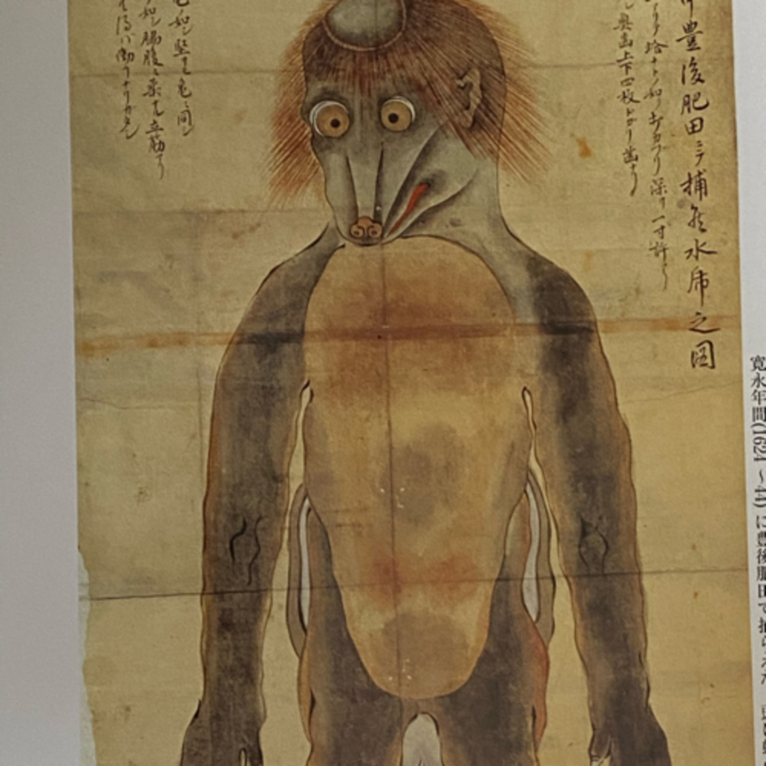 第4回「河童の話」の巻 episode artwork
