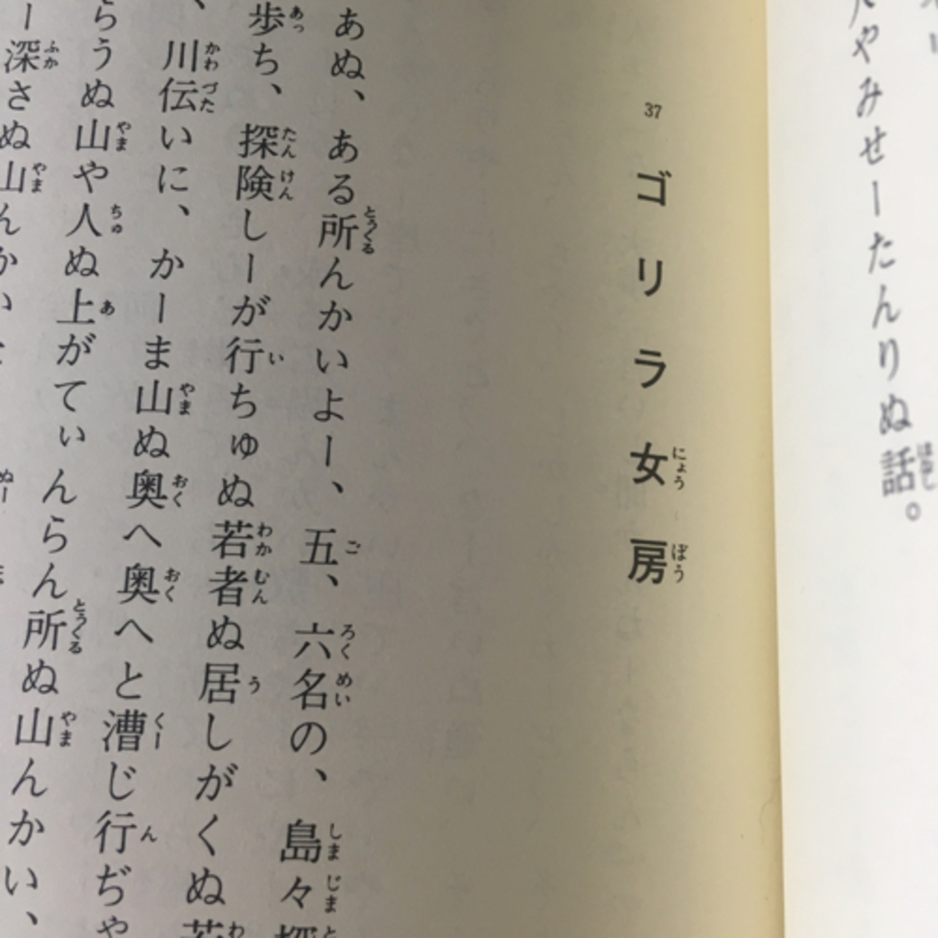 第5回「日本の民話「ゴリラ女房」って知ってますか？」の巻 episode artwork