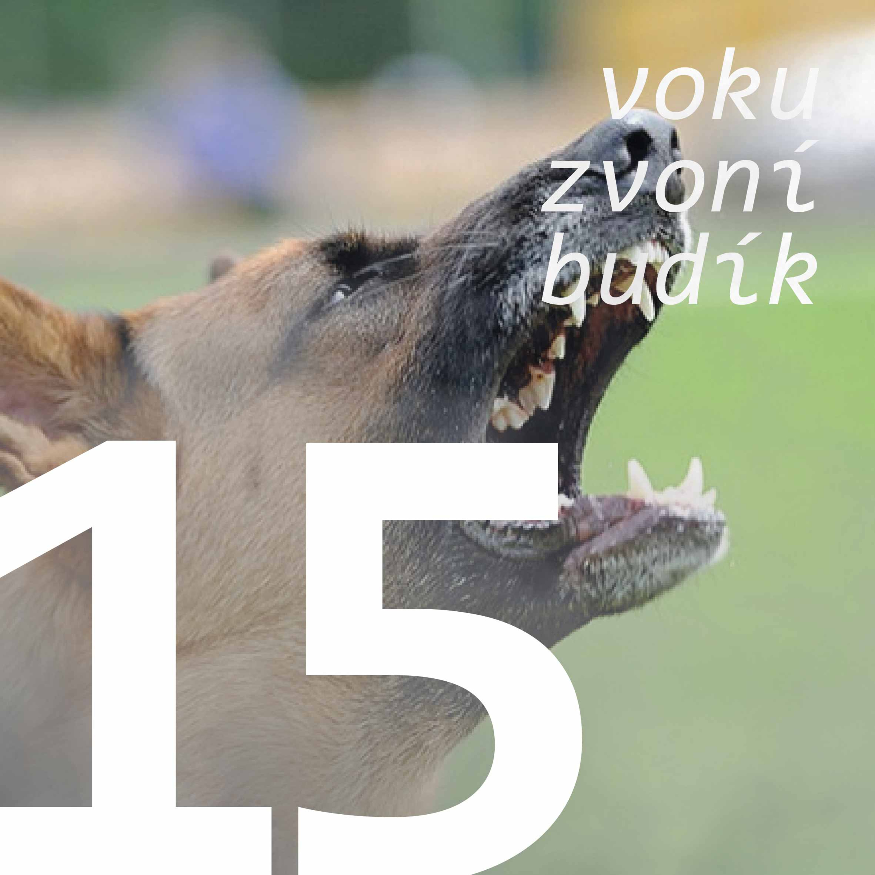 Voku zvoní budík