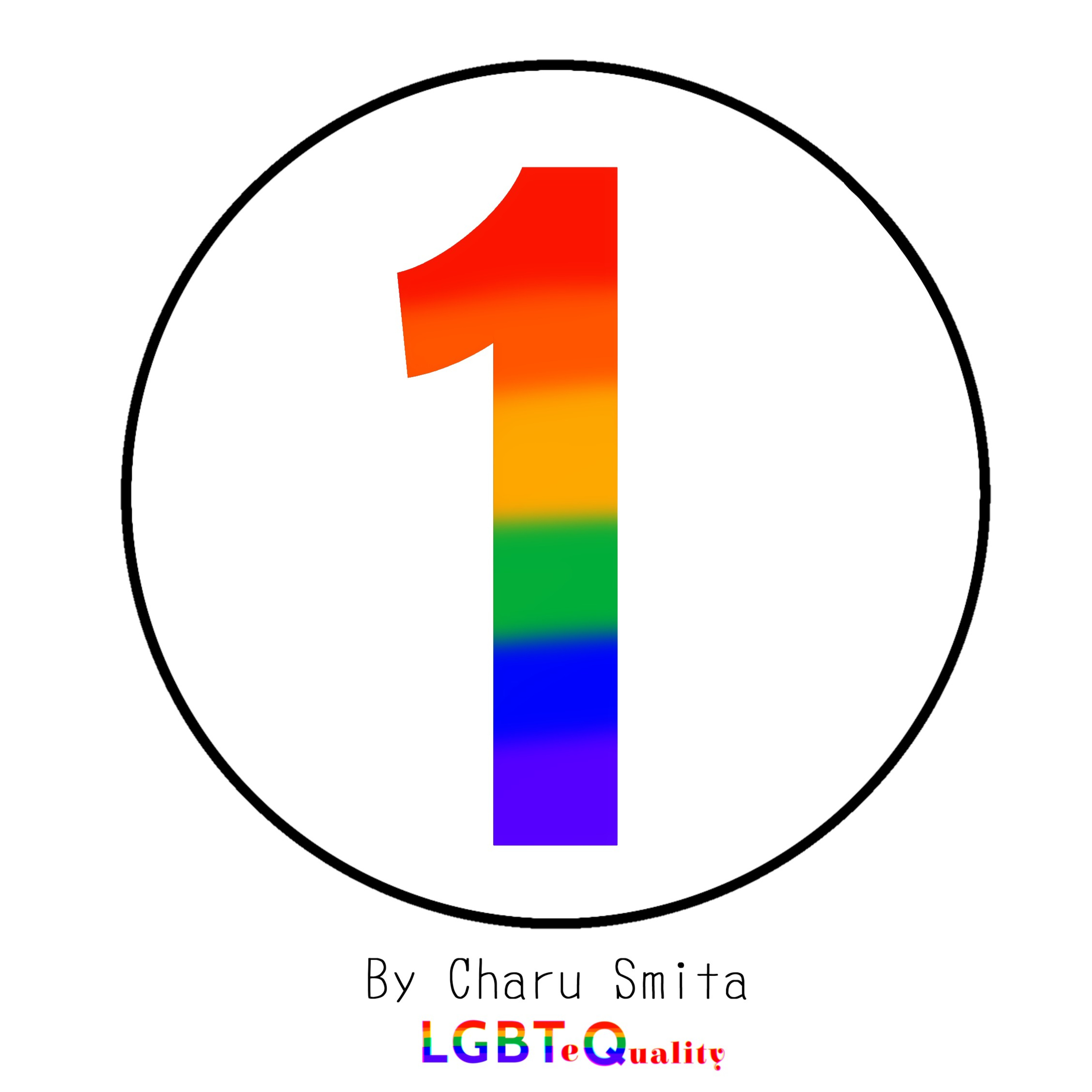 What does the LGBTQ+ mean?