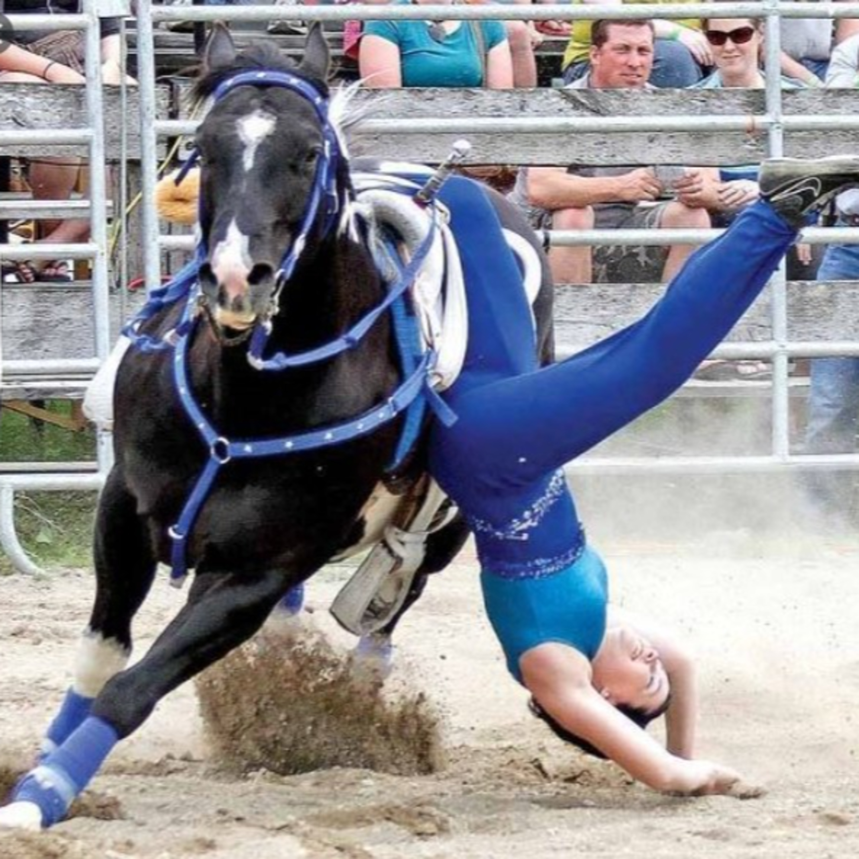 Muckracker